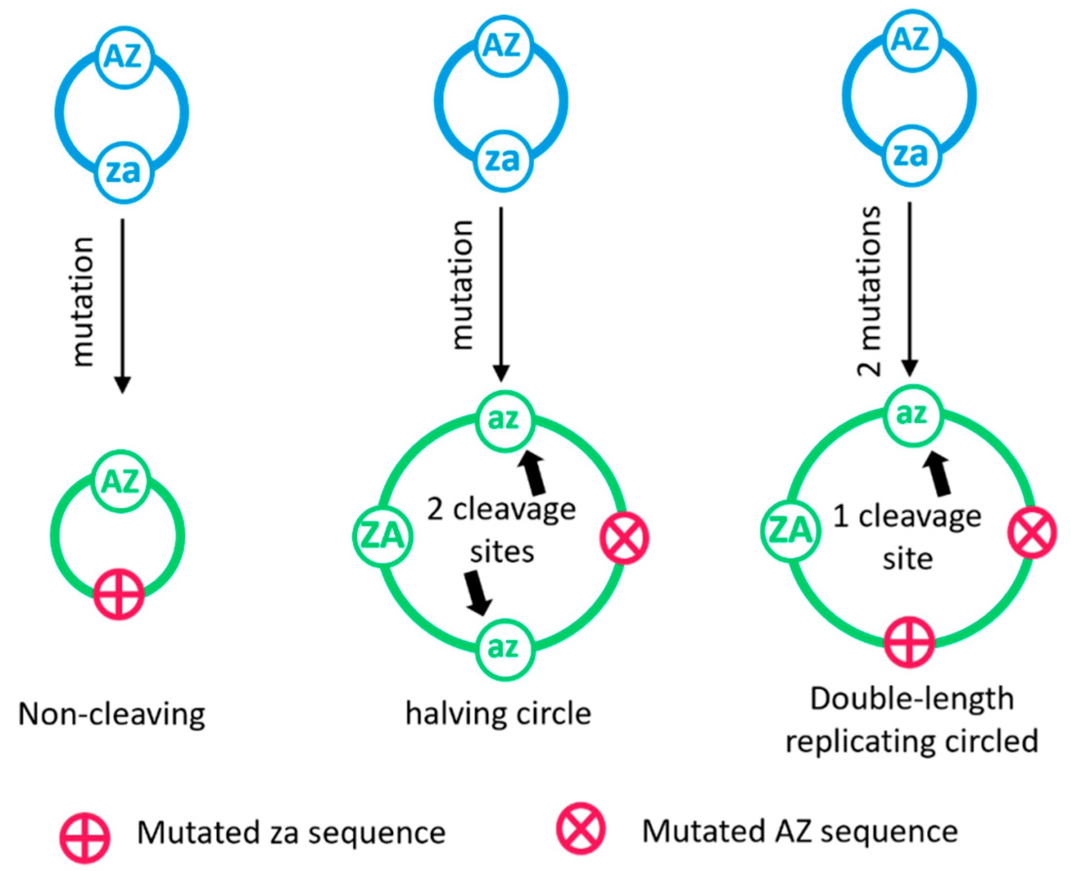 Life 12 01373 g002 550