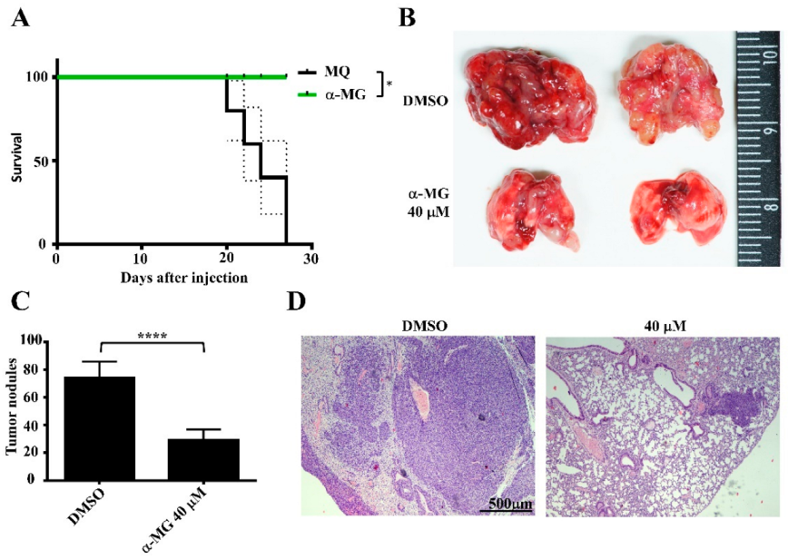 Life 12 01375 g004 550
