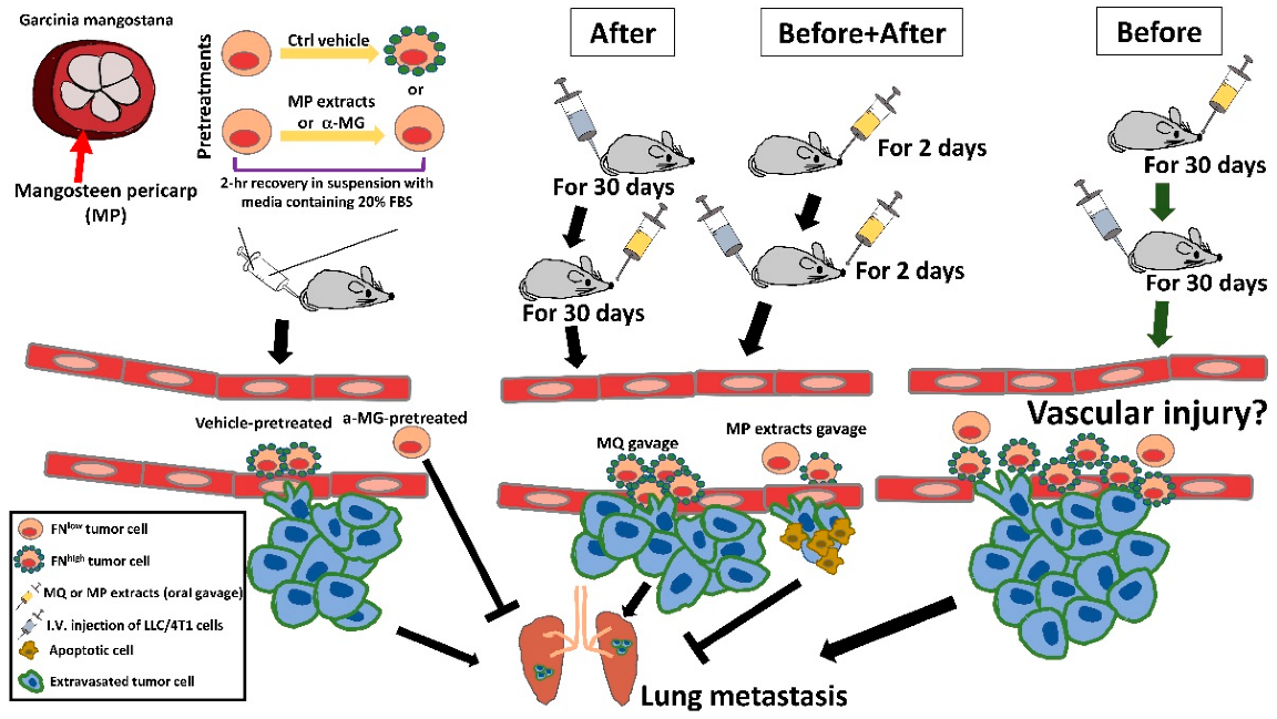 Life 12 01375 g006 550