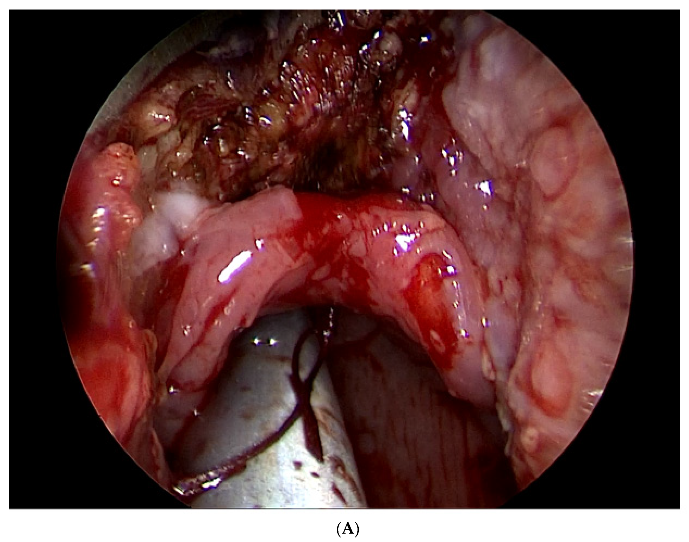 Life 12 01378 g003a Life 12 01378 g003a