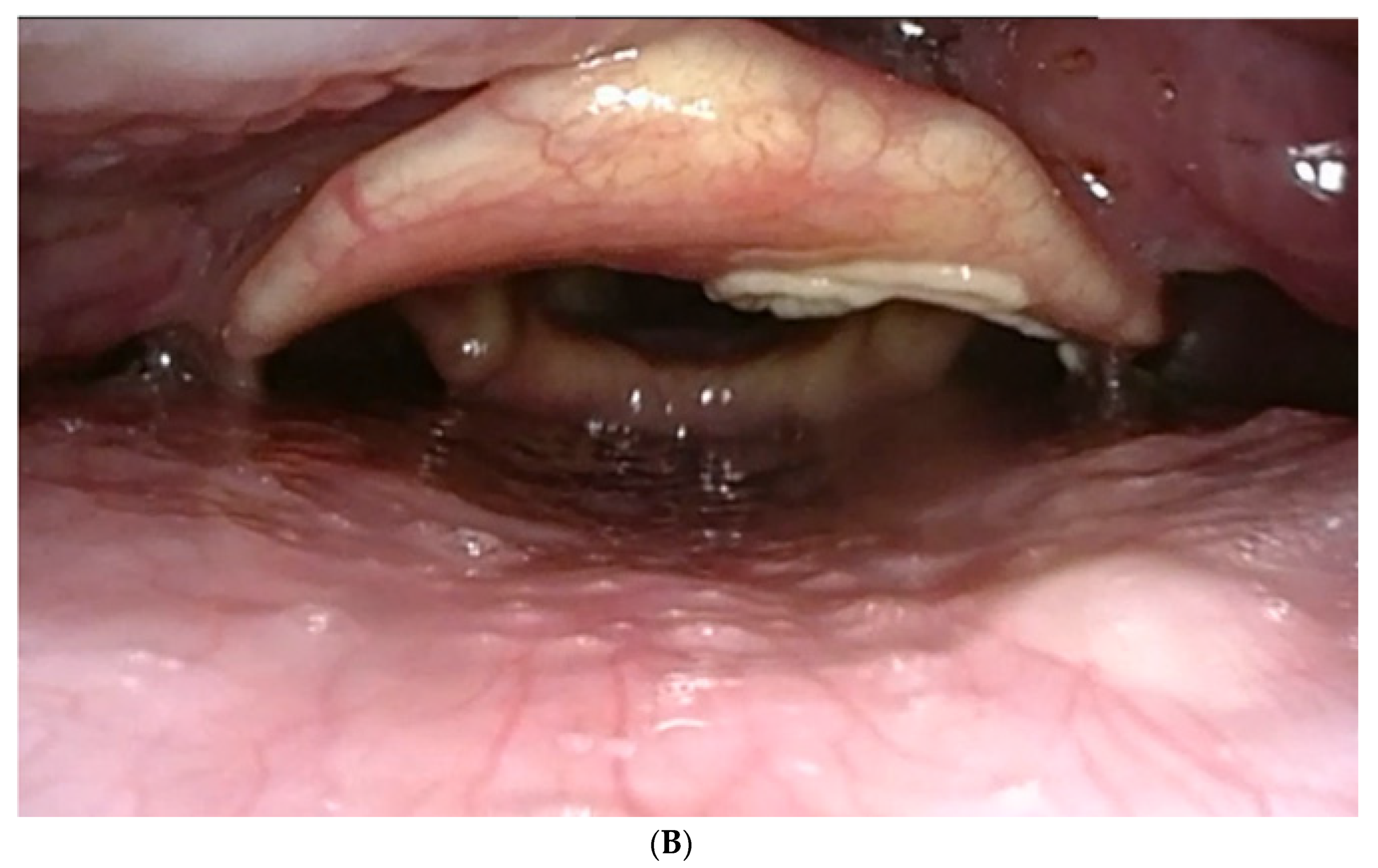 Life 12 01378 g003b Life 12 01378 g003b