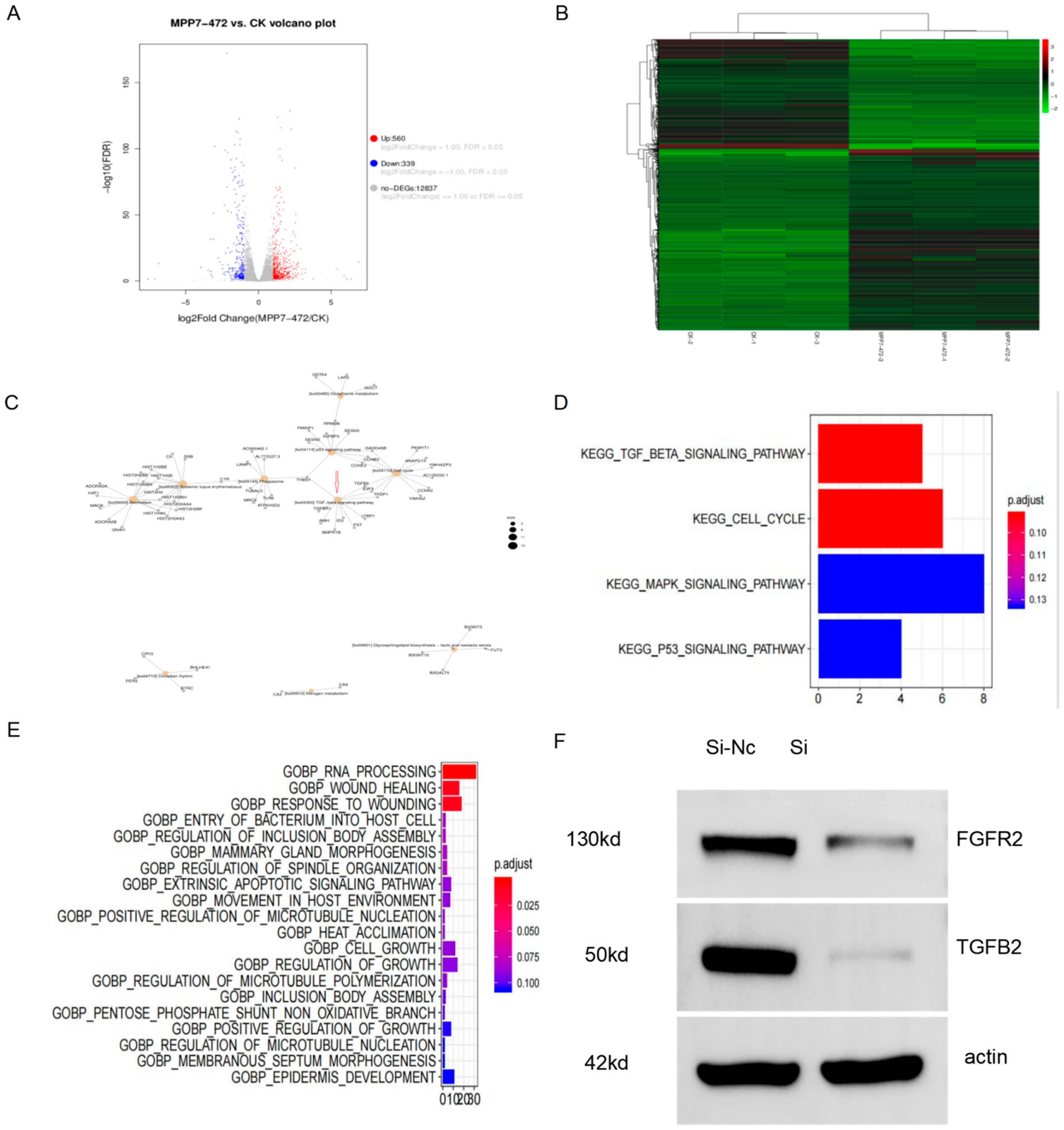 Life 12 01381 g004 550