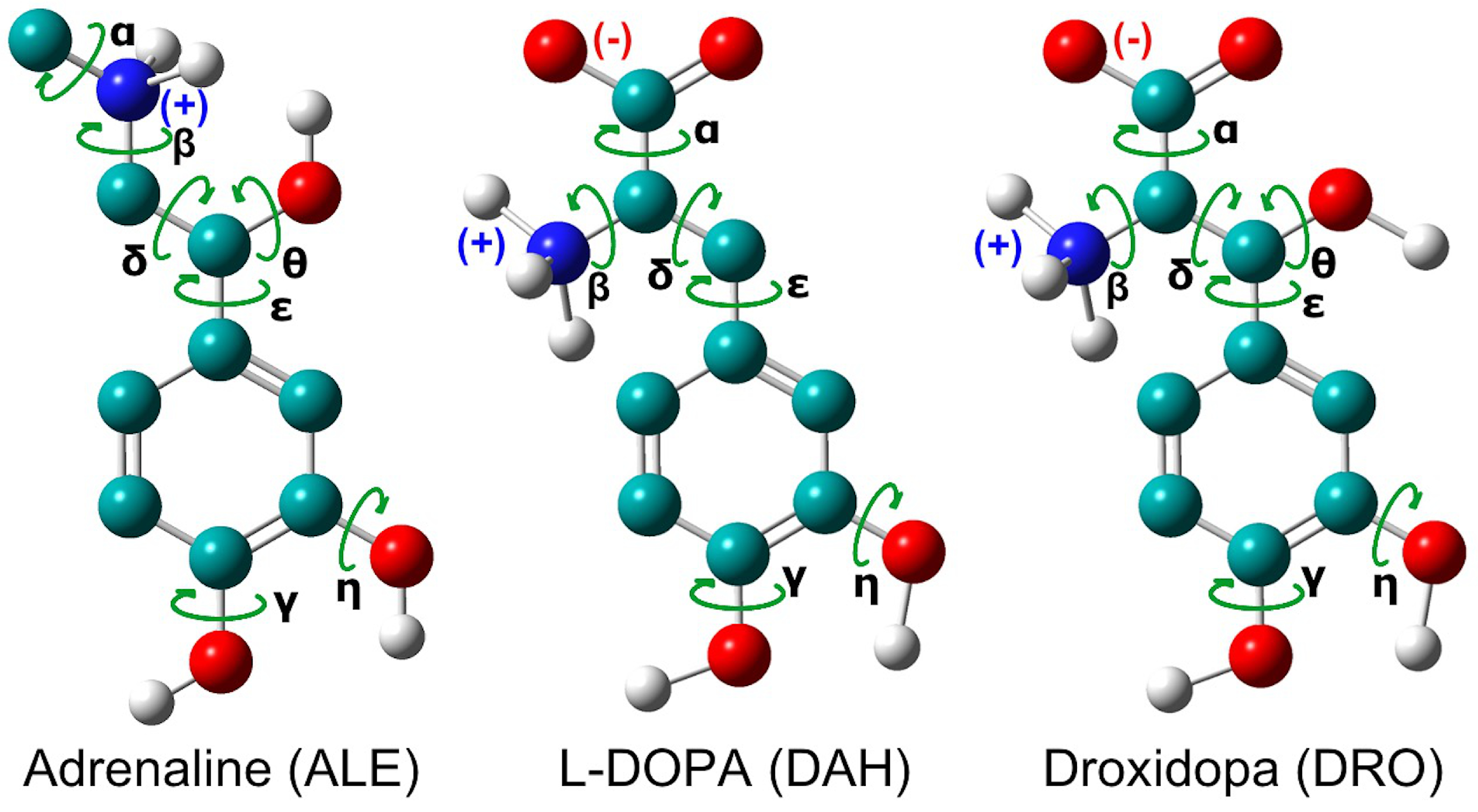 Life 12 01393 g001 Life 12 01393 g001