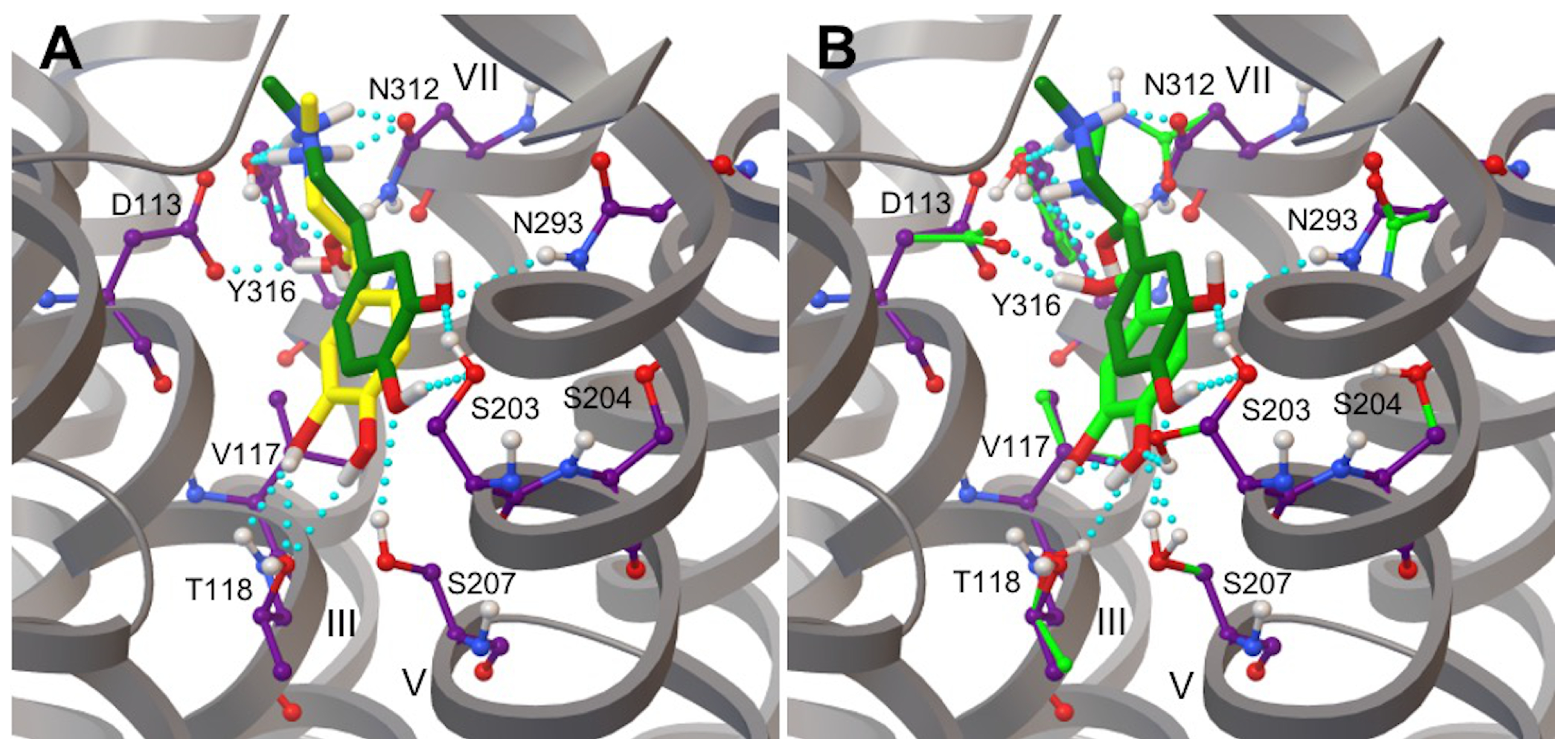 Life 12 01393 g009 Life 12 01393 g009