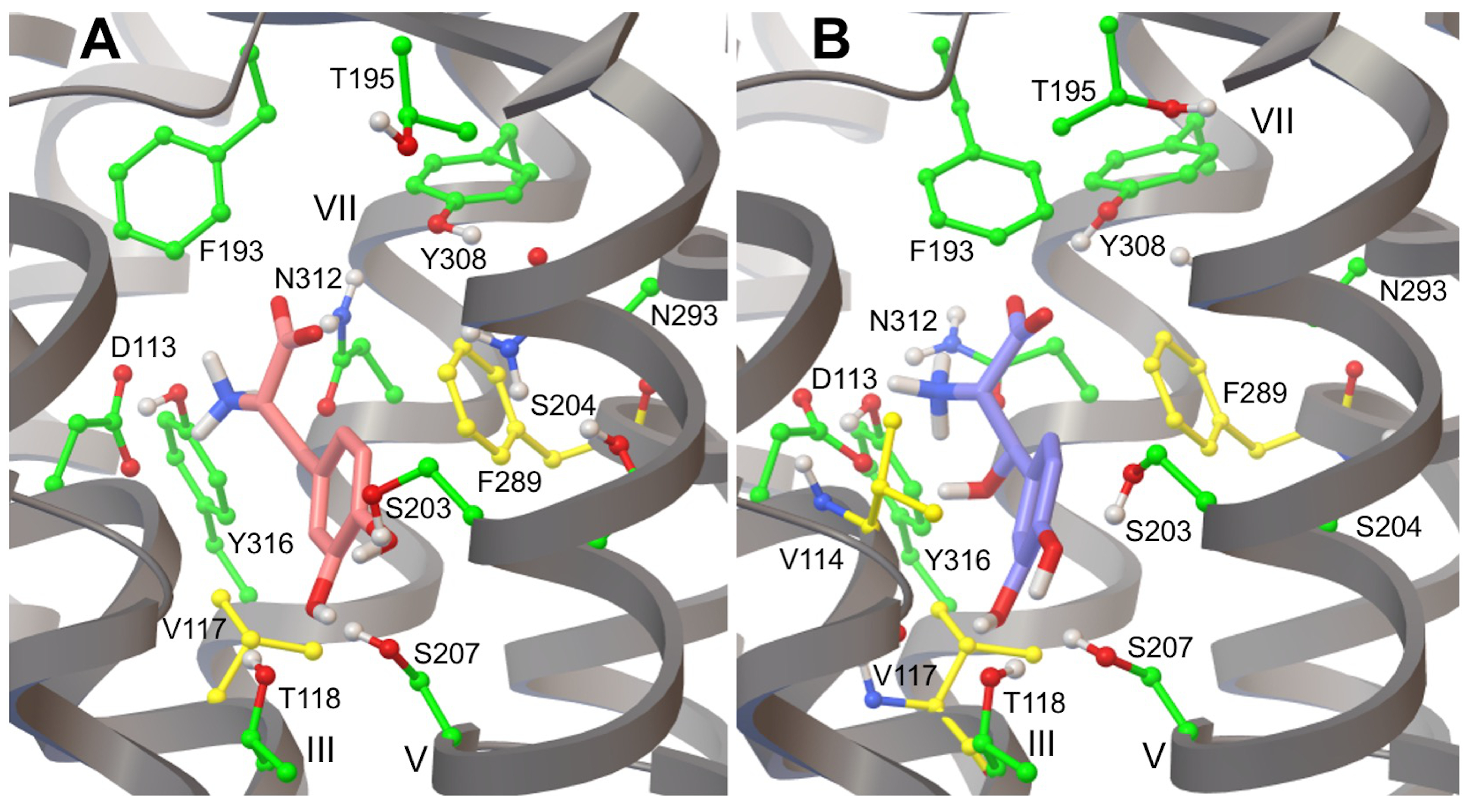 Life 12 01393 g013 Life 12 01393 g013