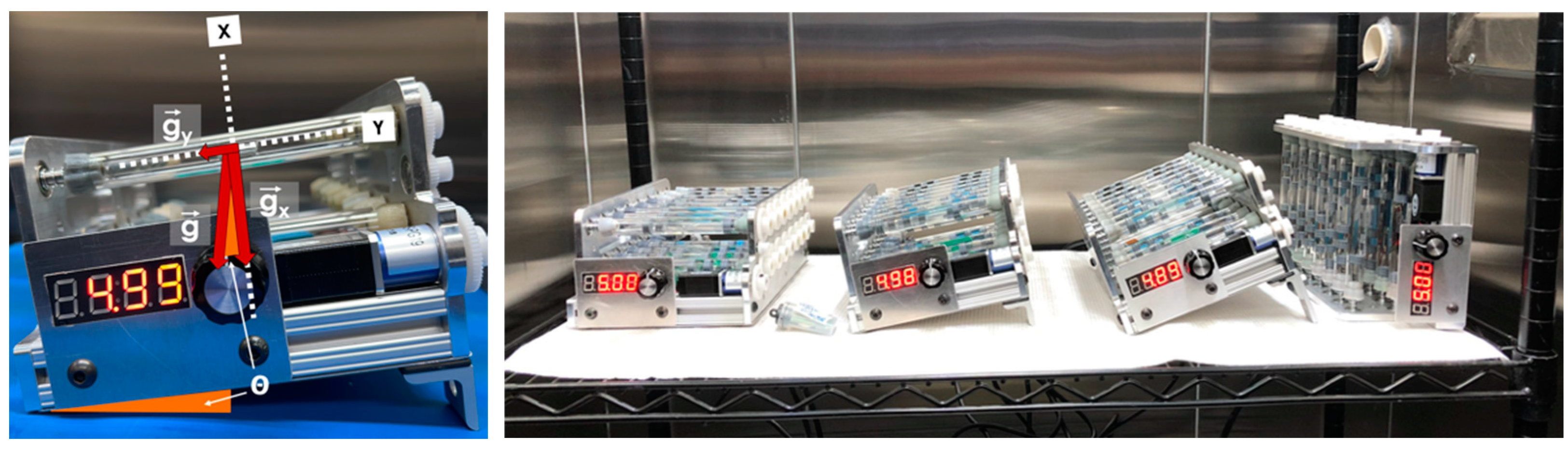 Life 12 01399 g001 550