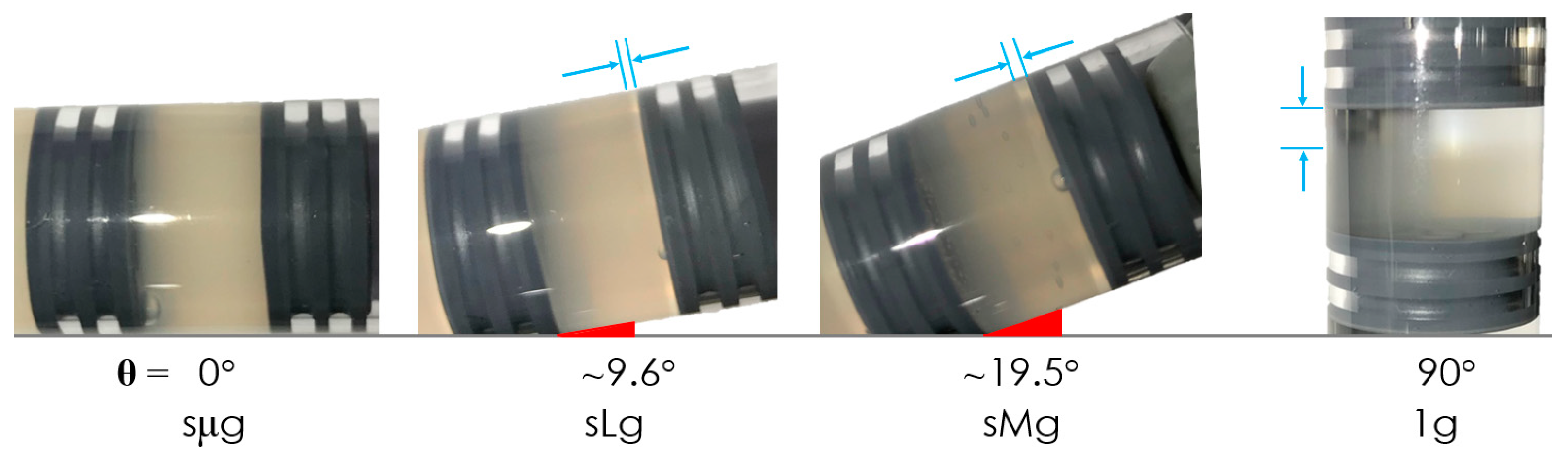 Life 12 01399 g002 550