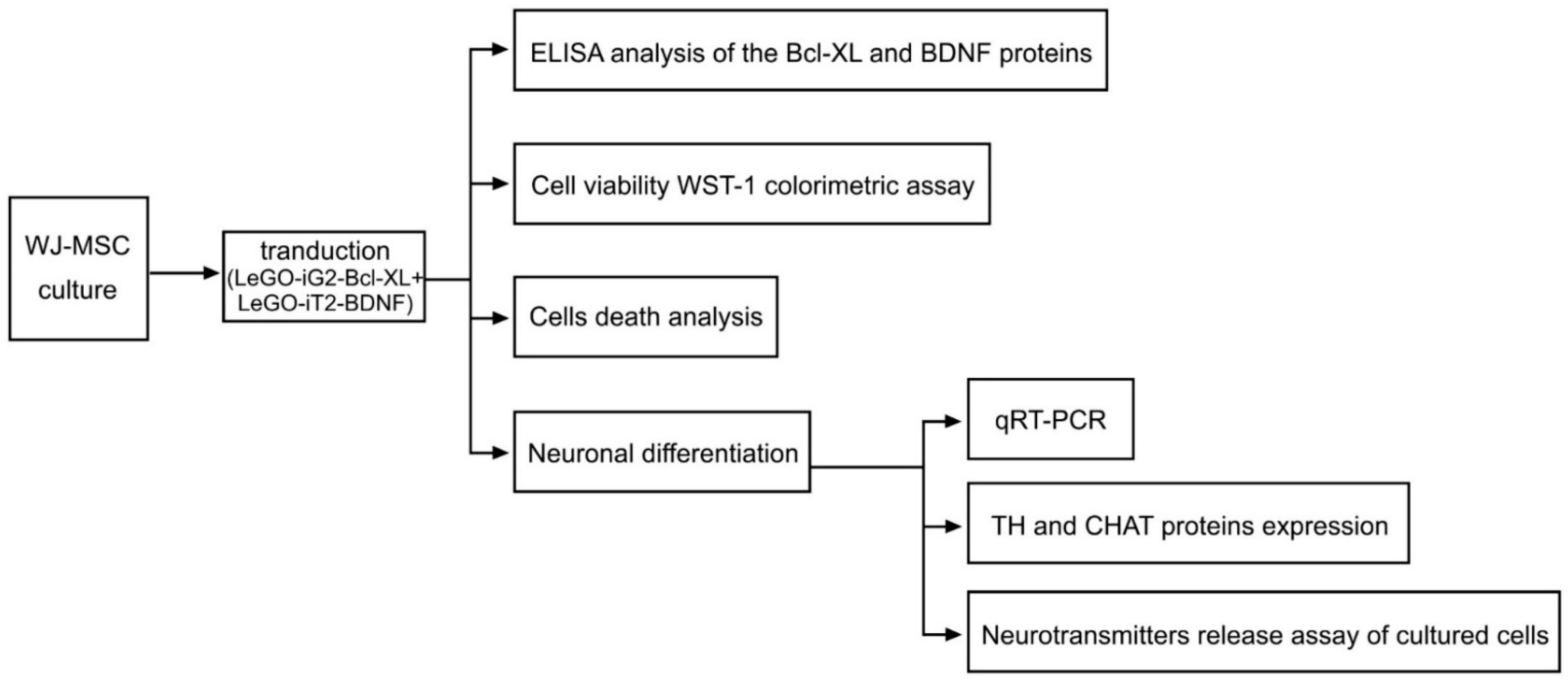 Life 12 01406 g001 550