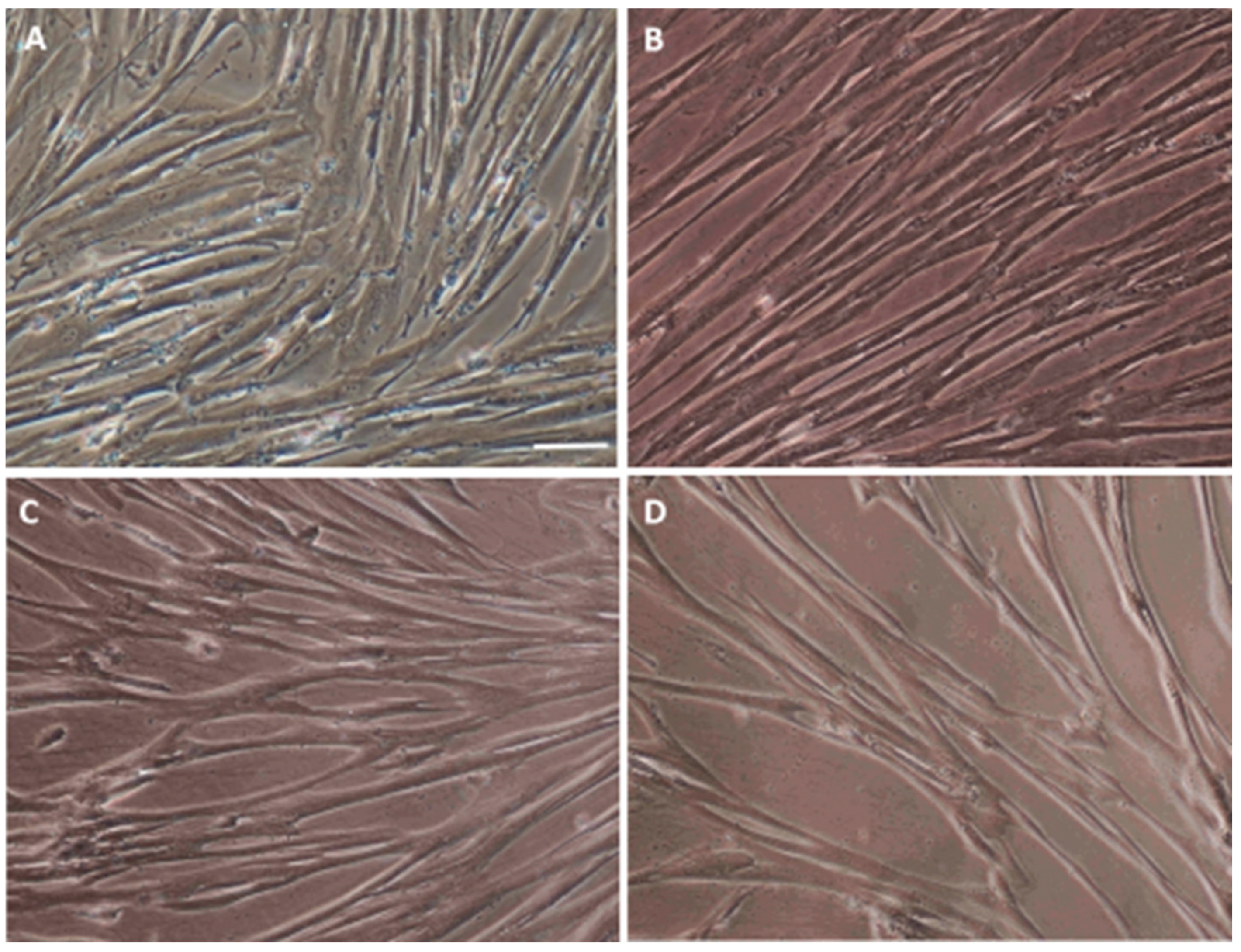 Life 12 01406 g003 550