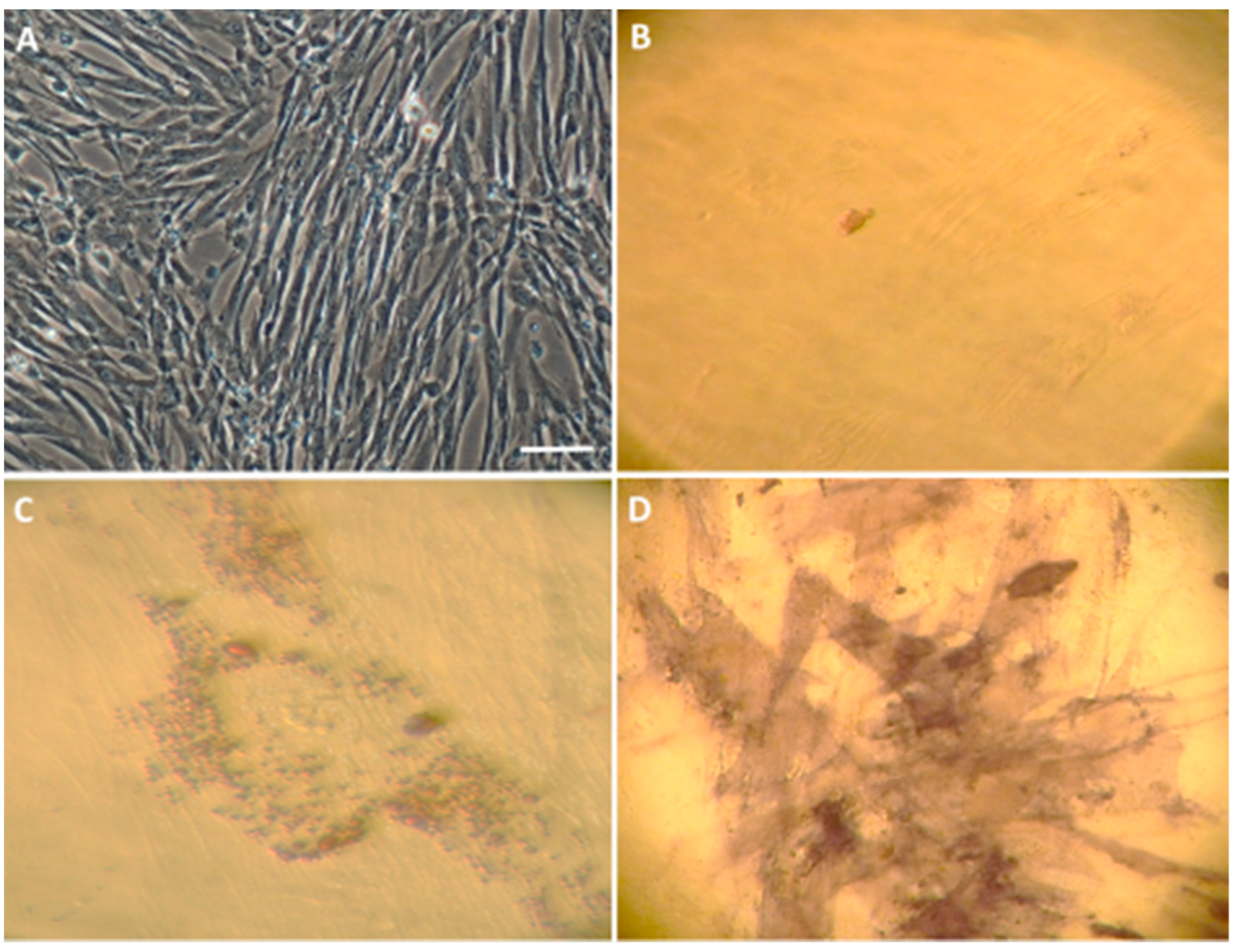 Life 12 01406 g005 550