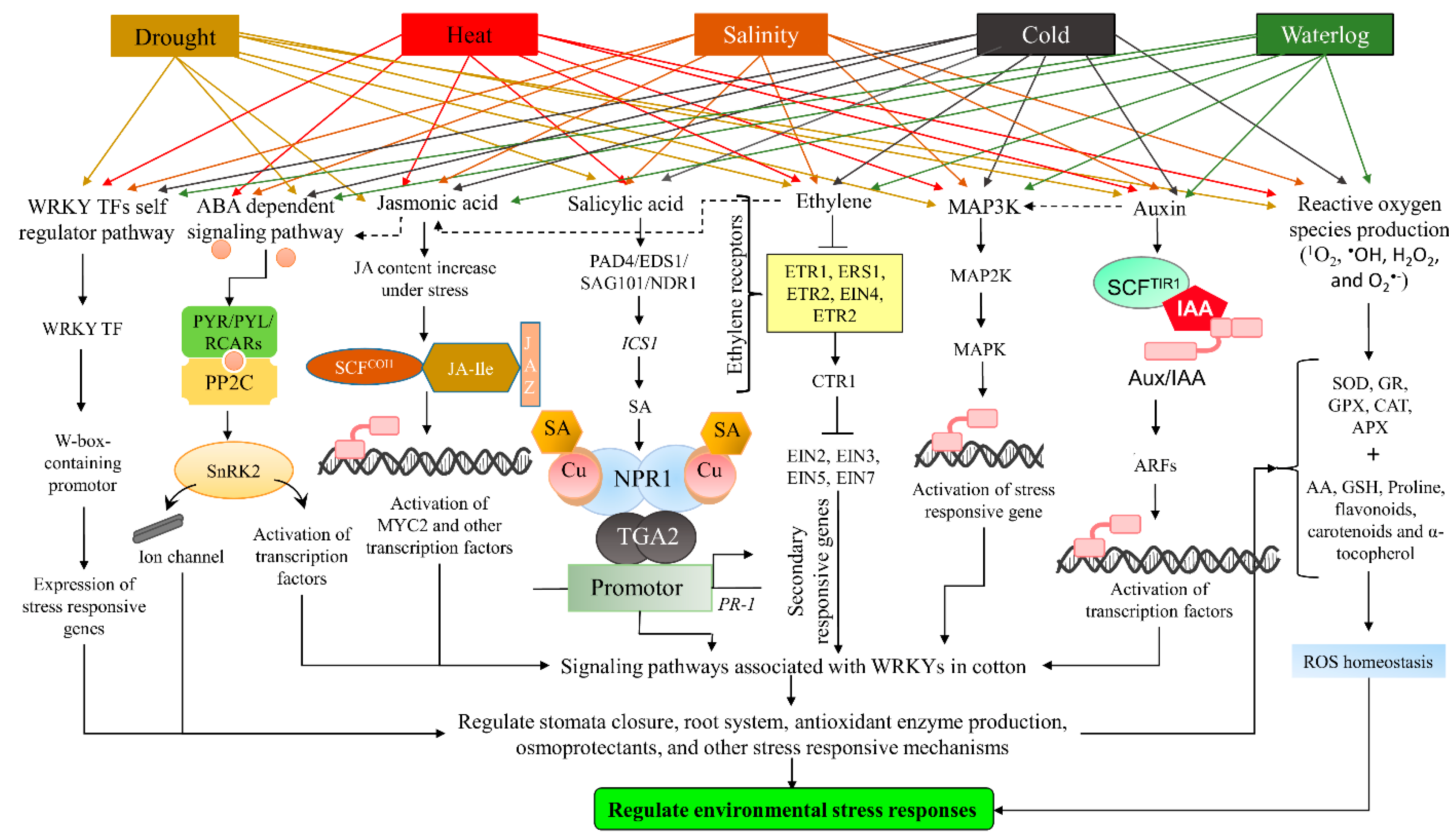 Life 12 01410 g001 550