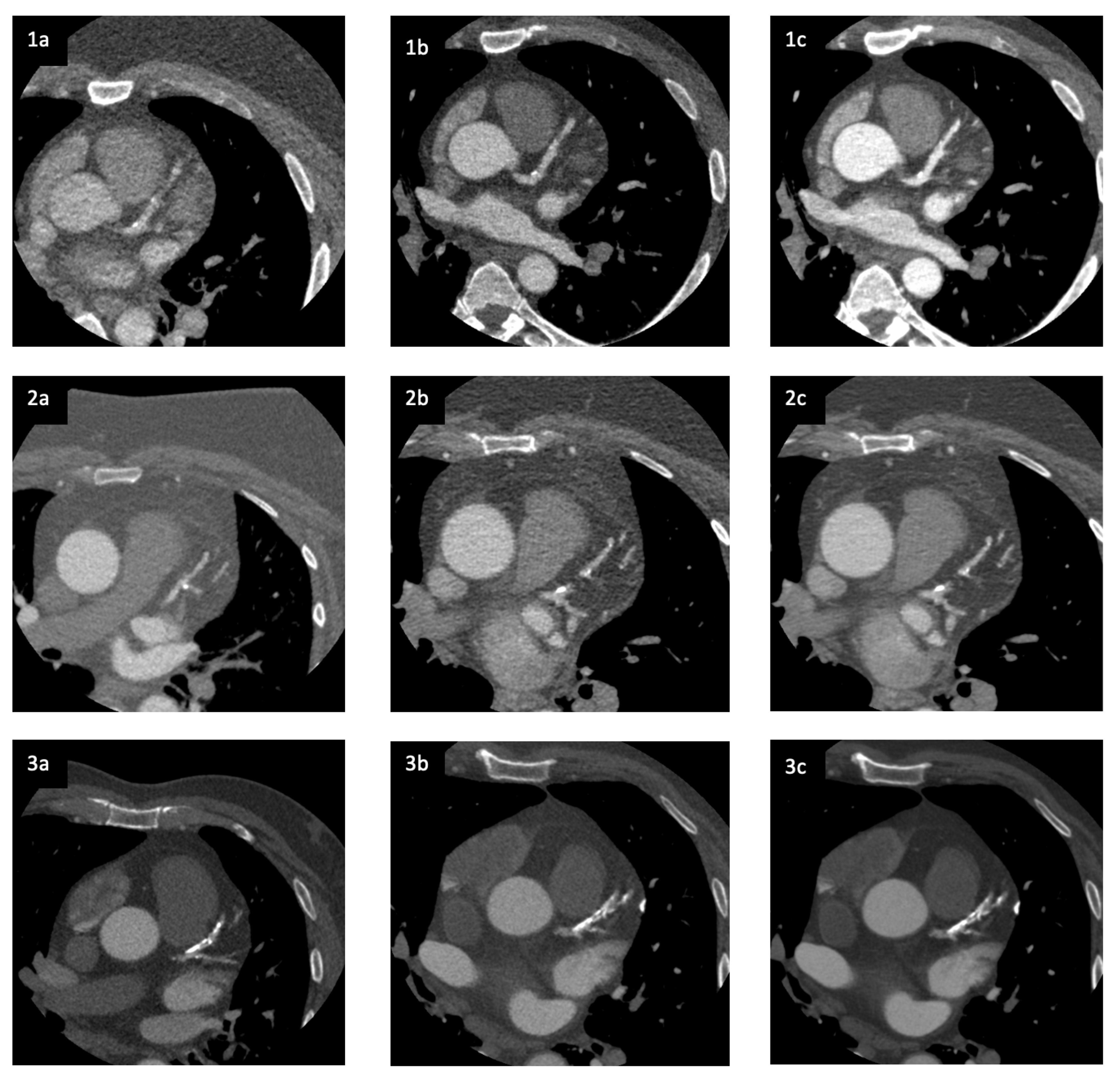 Life 12 01428 g001 550