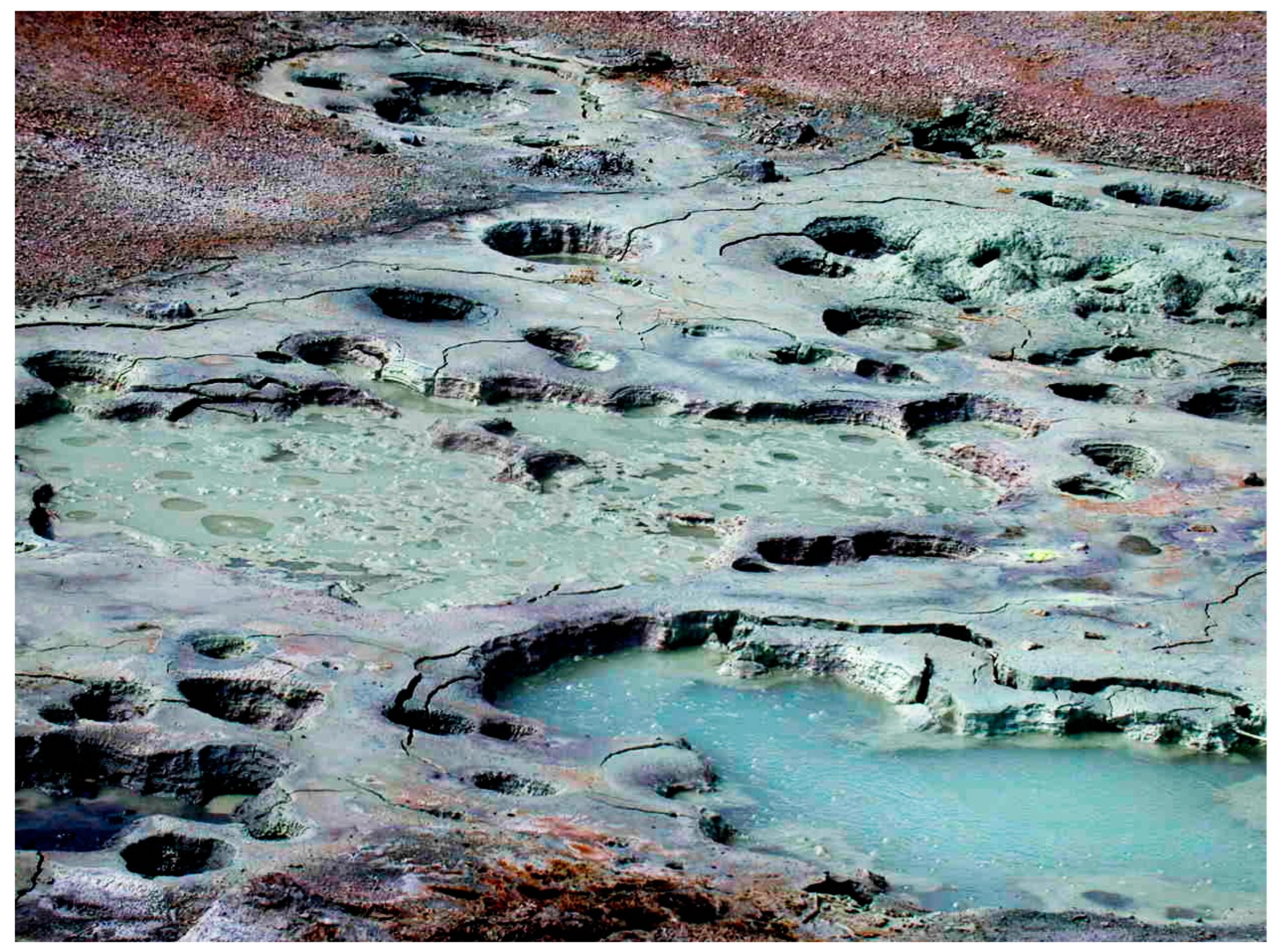 Life 12 01429 g001 550