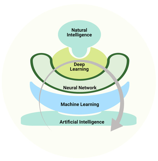 Life | Free Full-Text | Artificial Intelligence in Biological Sciences