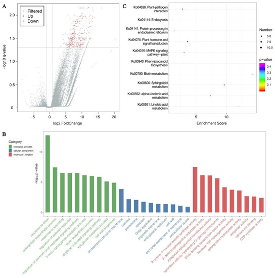 Outcomes of Low-Temperature Stress on Biological Alterations