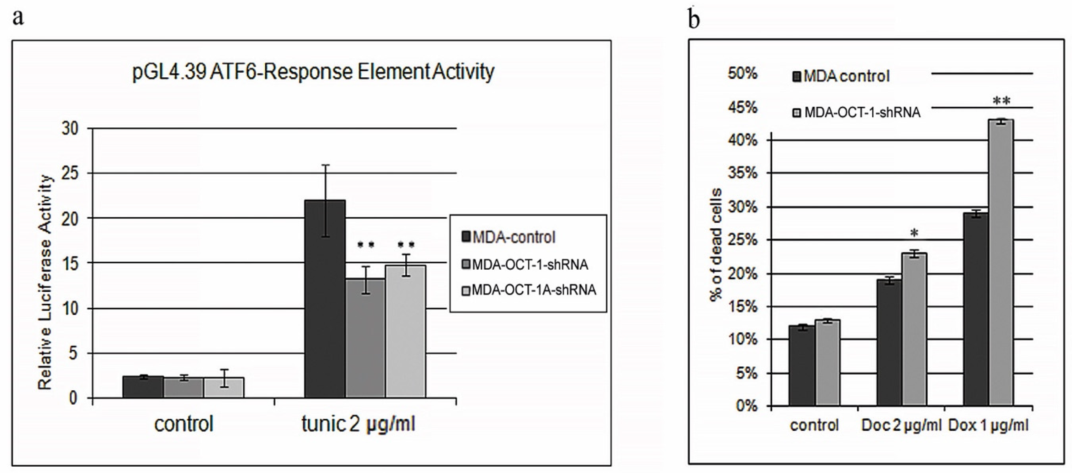 Life 12 01435 g005 Life 12 01435 g005