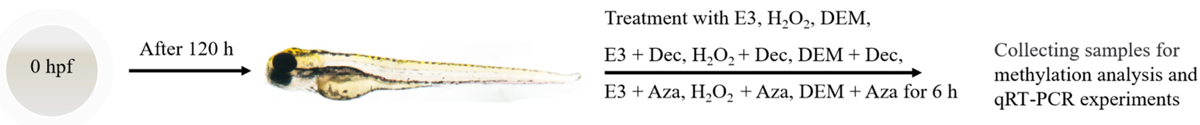 Life 12 01436 sch002
