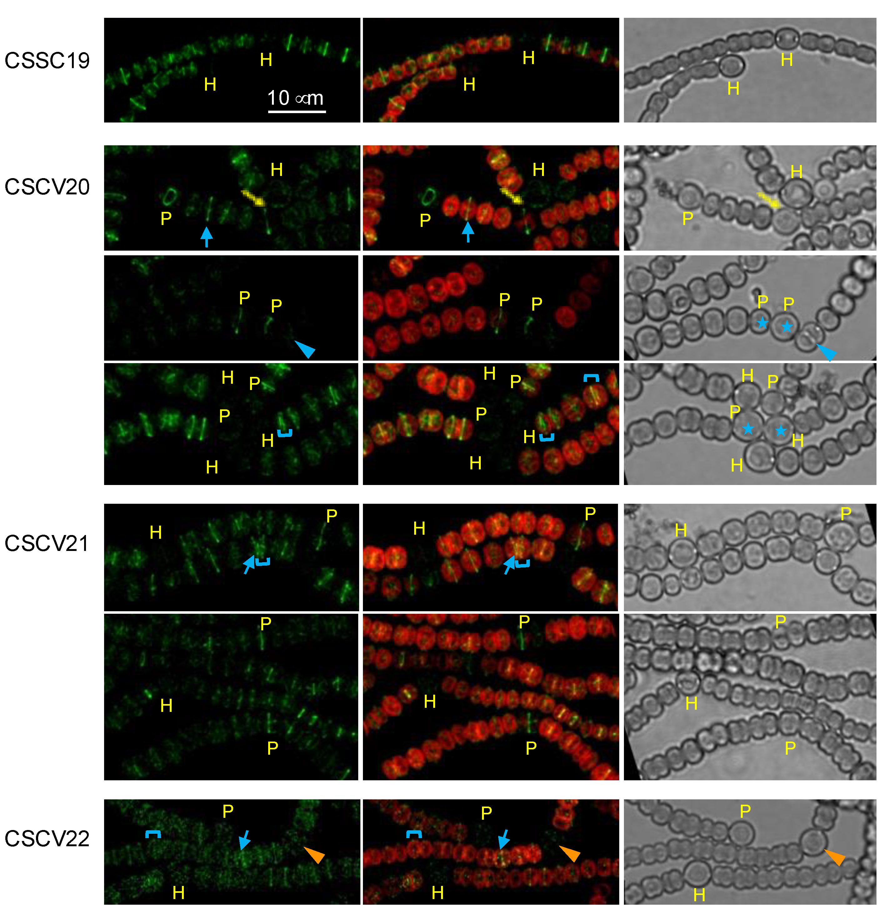 Life 12 01437 g006 Life 12 01437 g006