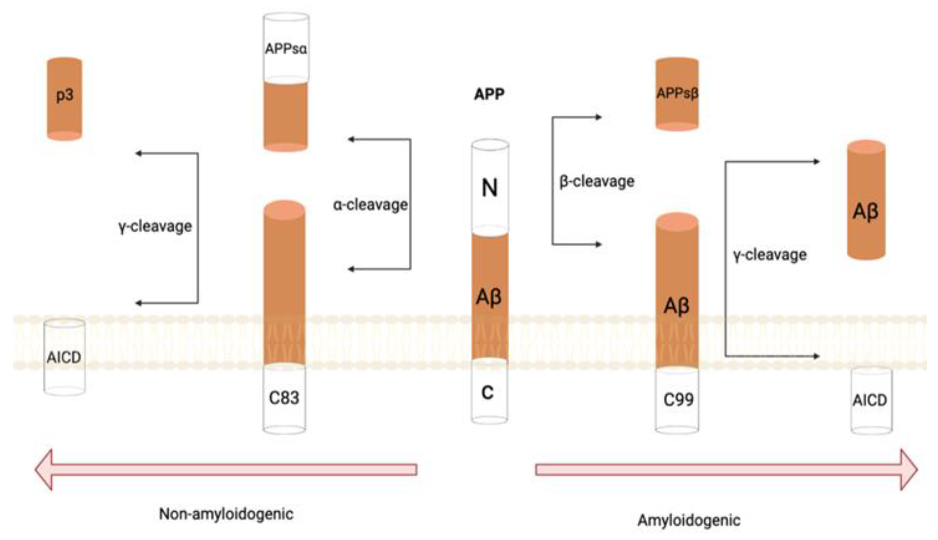 Life 12 01440 g001 Life 12 01440 g001