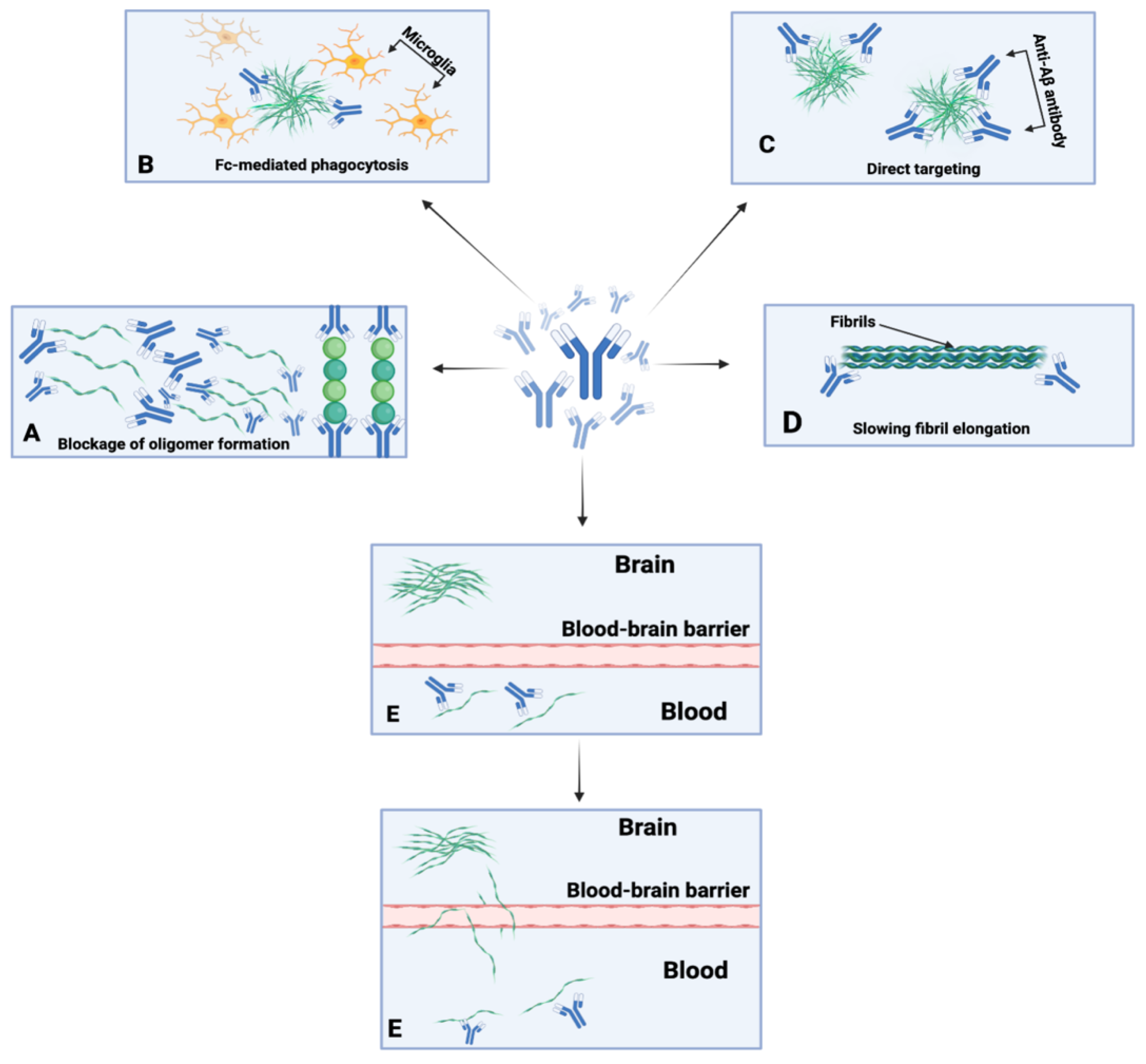 Life 12 01440 g002 Life 12 01440 g002