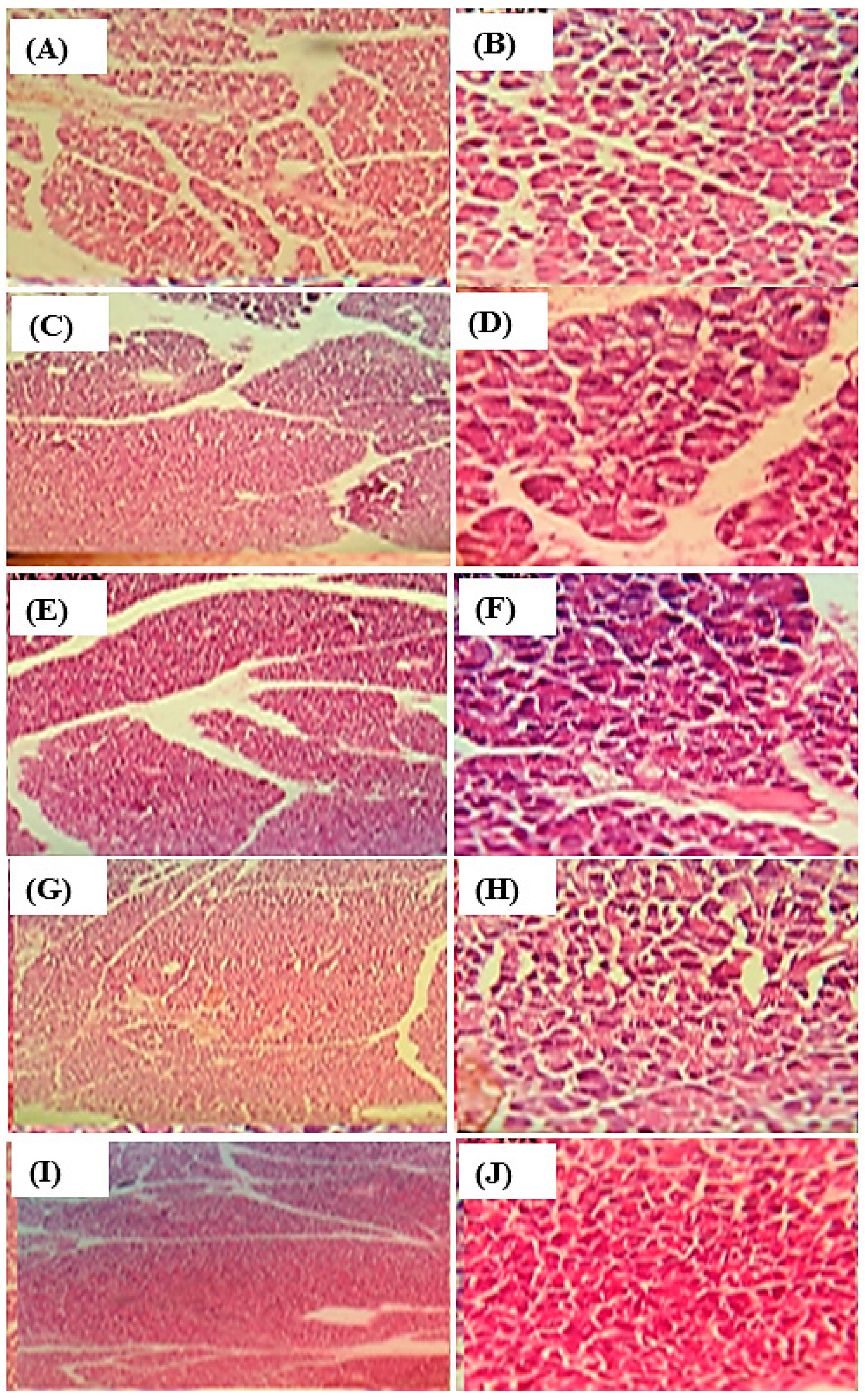 Life 12 01451 g006 Life 12 01451 g006