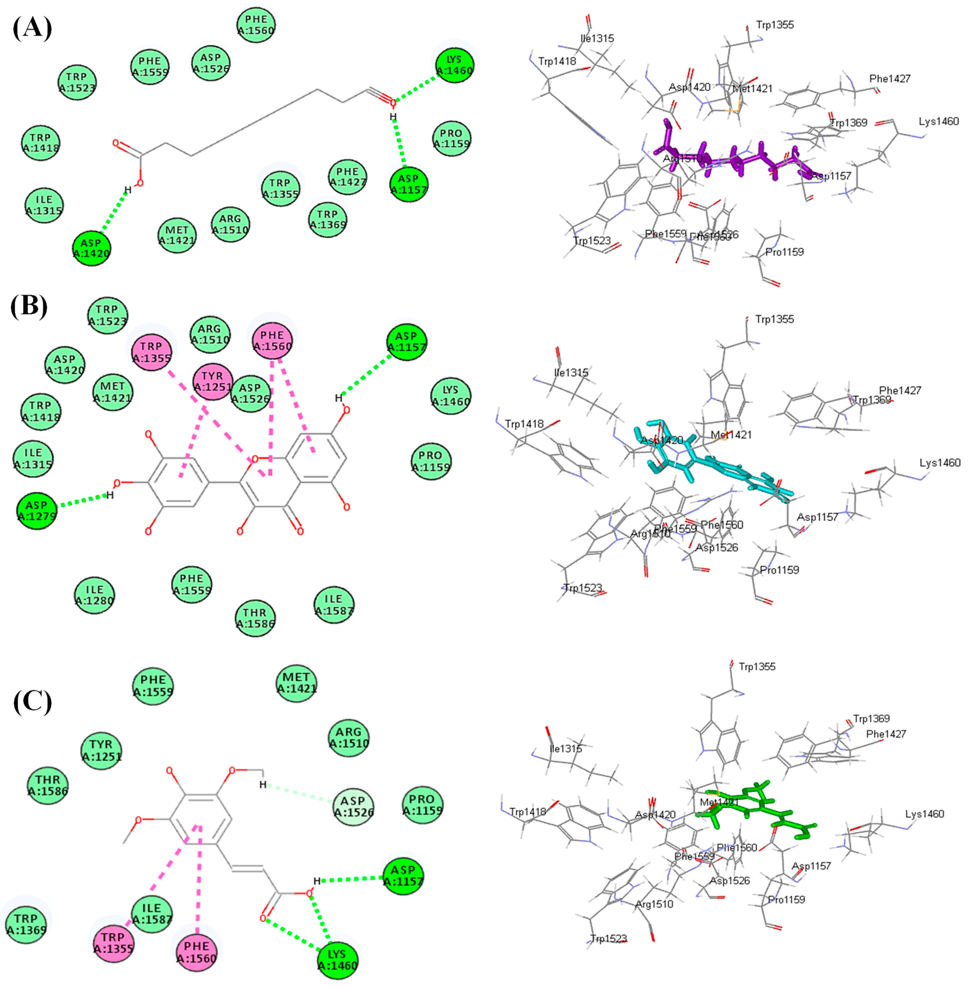 Life 12 01451 g007 Life 12 01451 g007