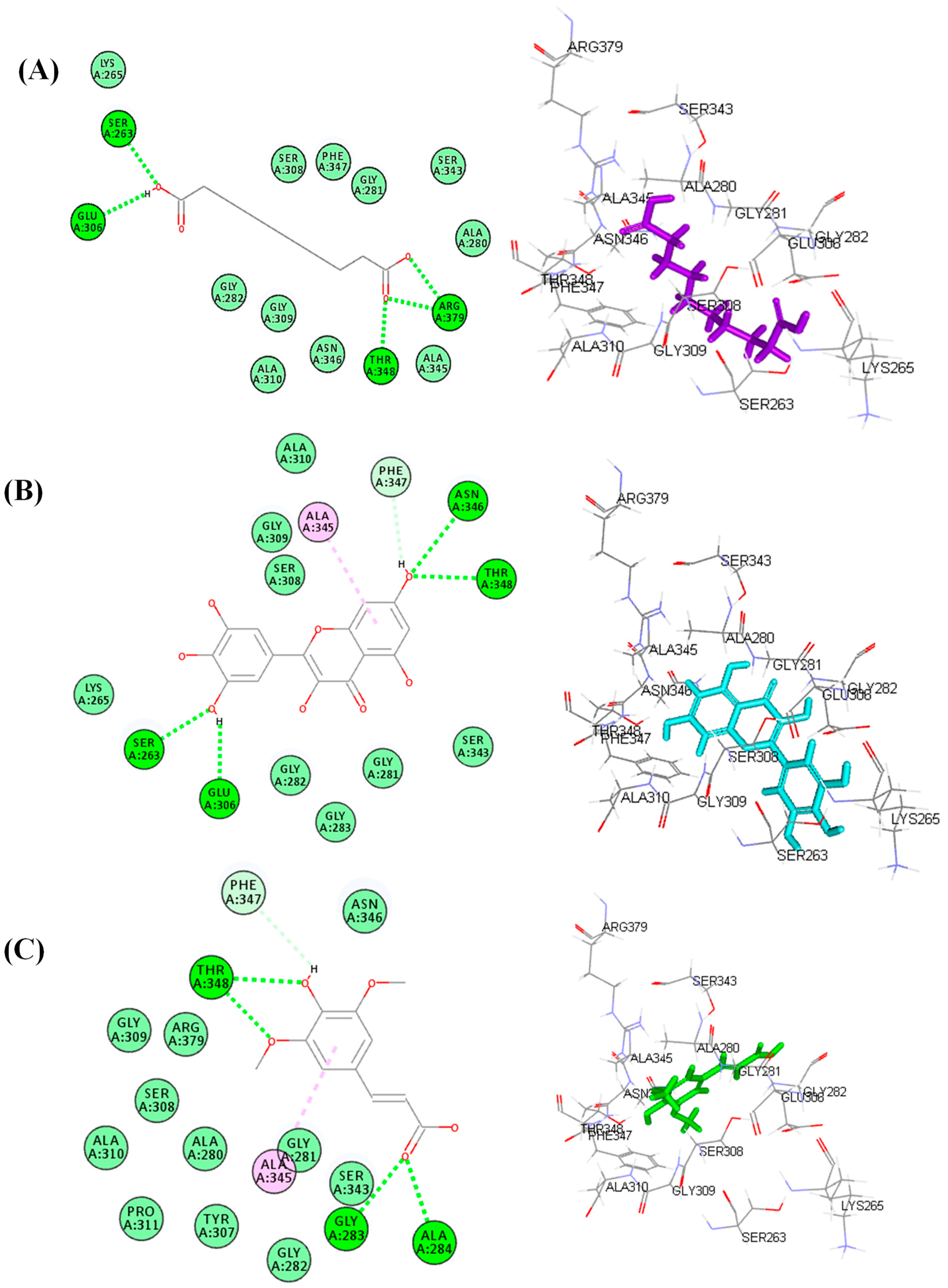 Life 12 01451 g008 Life 12 01451 g008