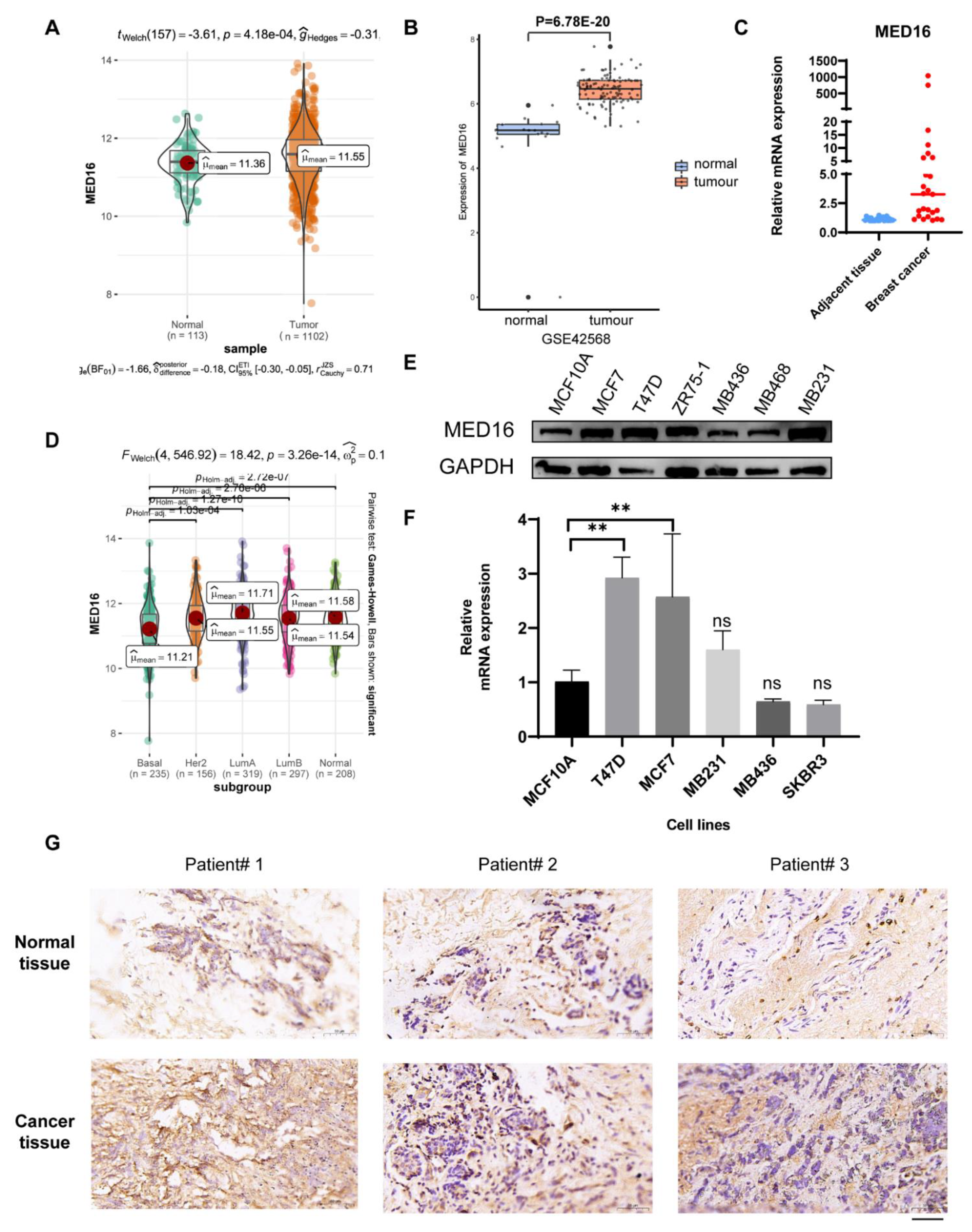 Life 12 01461 g001 Life 12 01461 g001