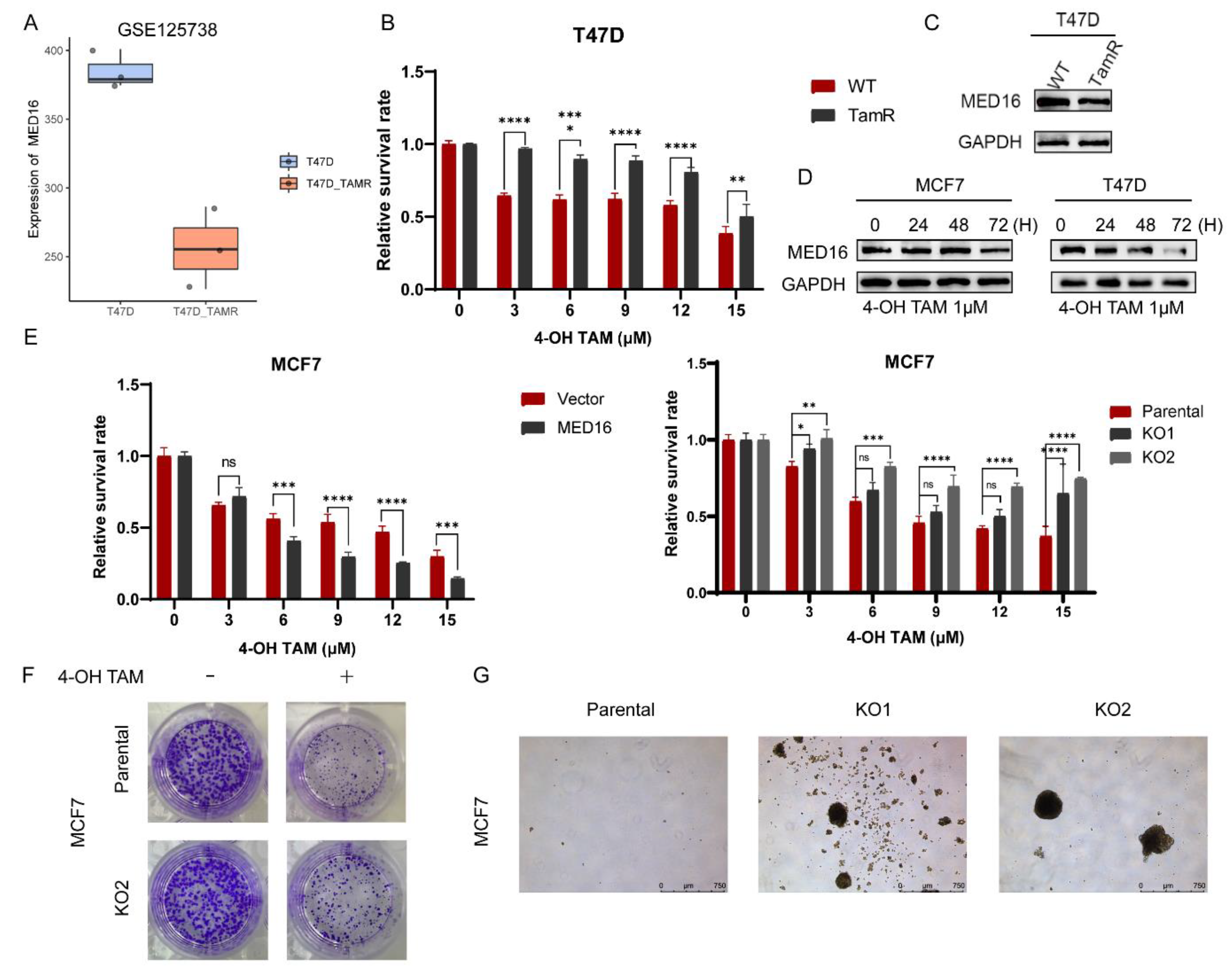 Life 12 01461 g004 Life 12 01461 g004