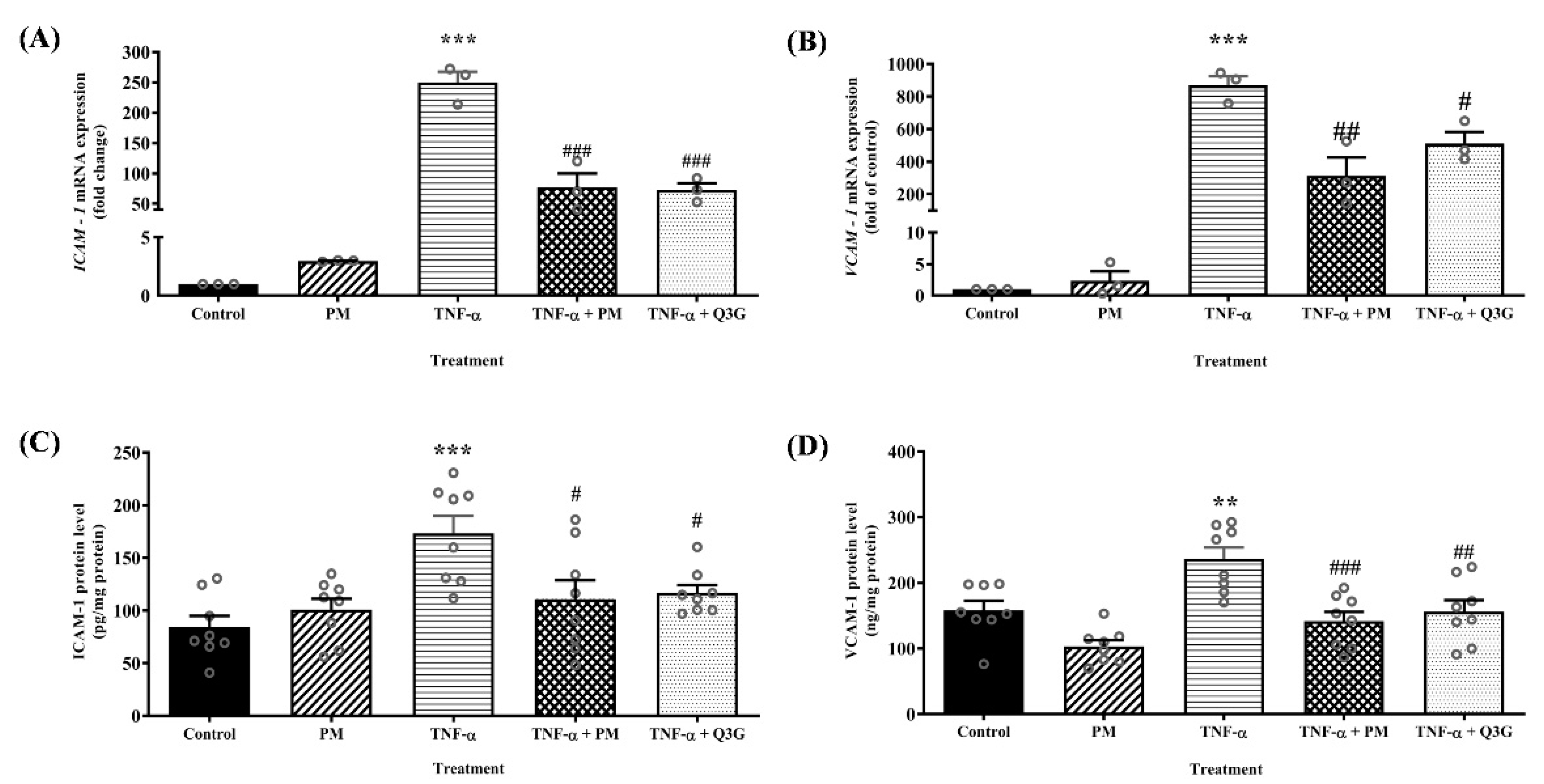 Life 12 01462 g003 Life 12 01462 g003