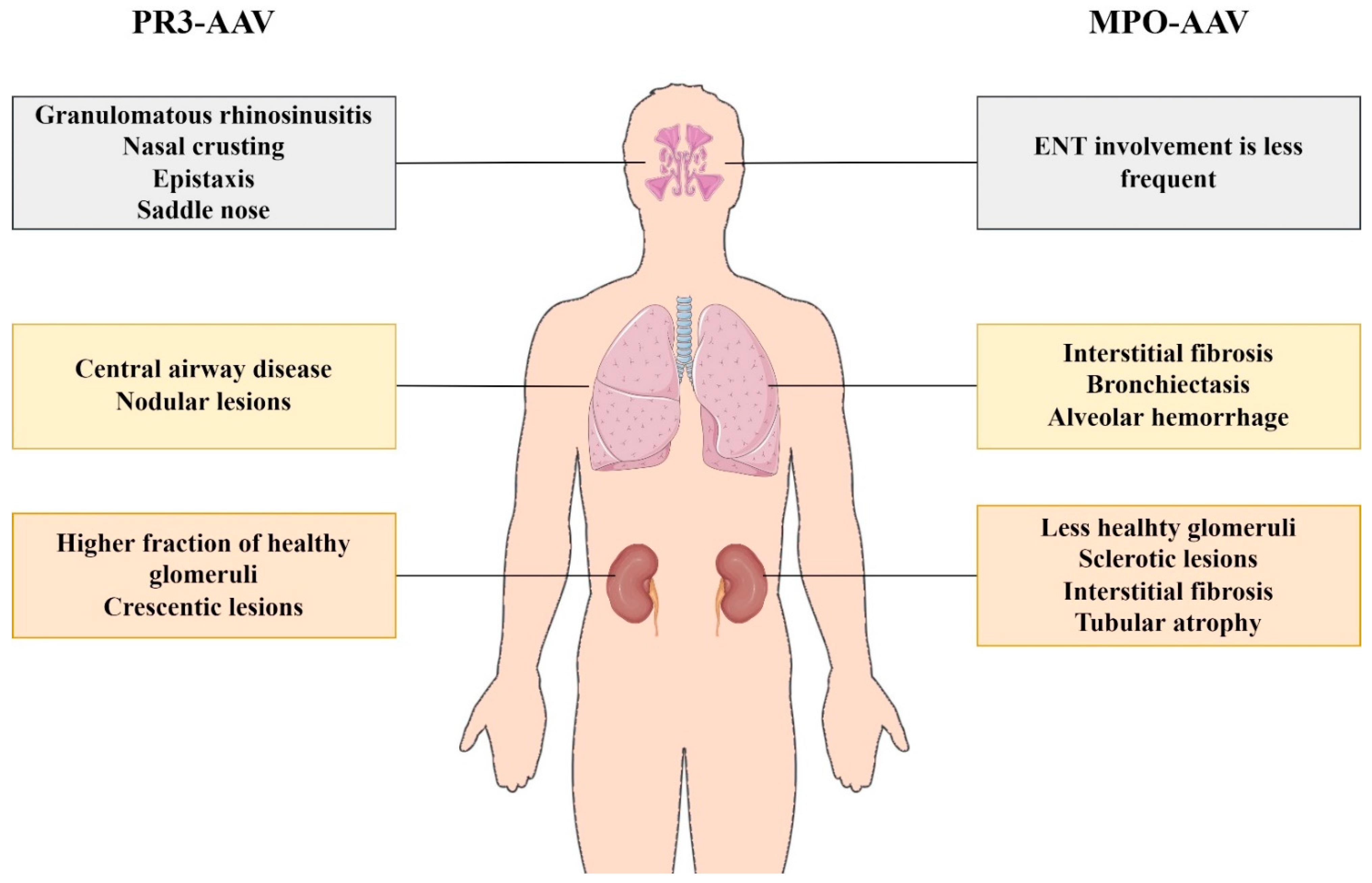 Life 12 01467 g004 Life 12 01467 g004