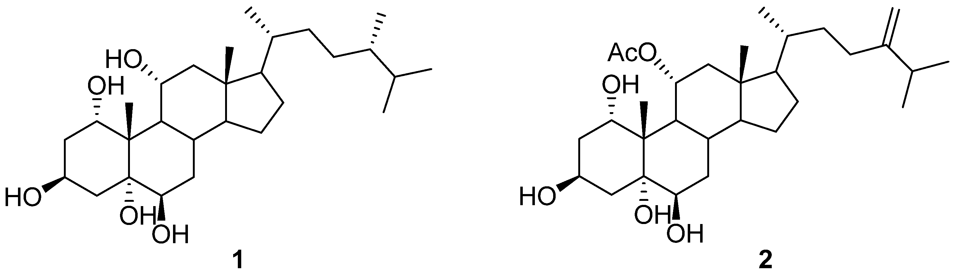 Life 12 01470 g001 Life 12 01470 g001