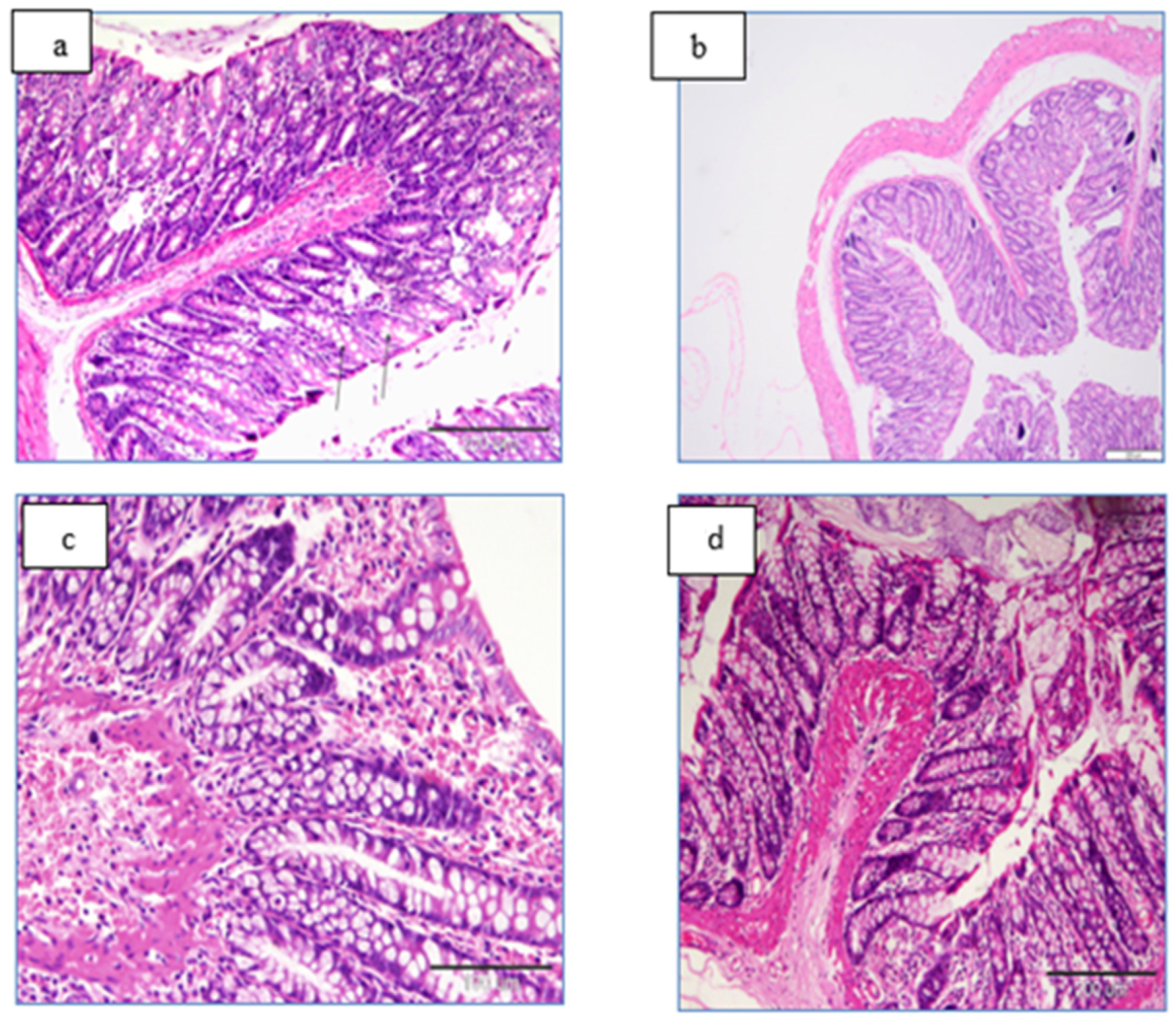 Life 12 01470 g015 Life 12 01470 g015