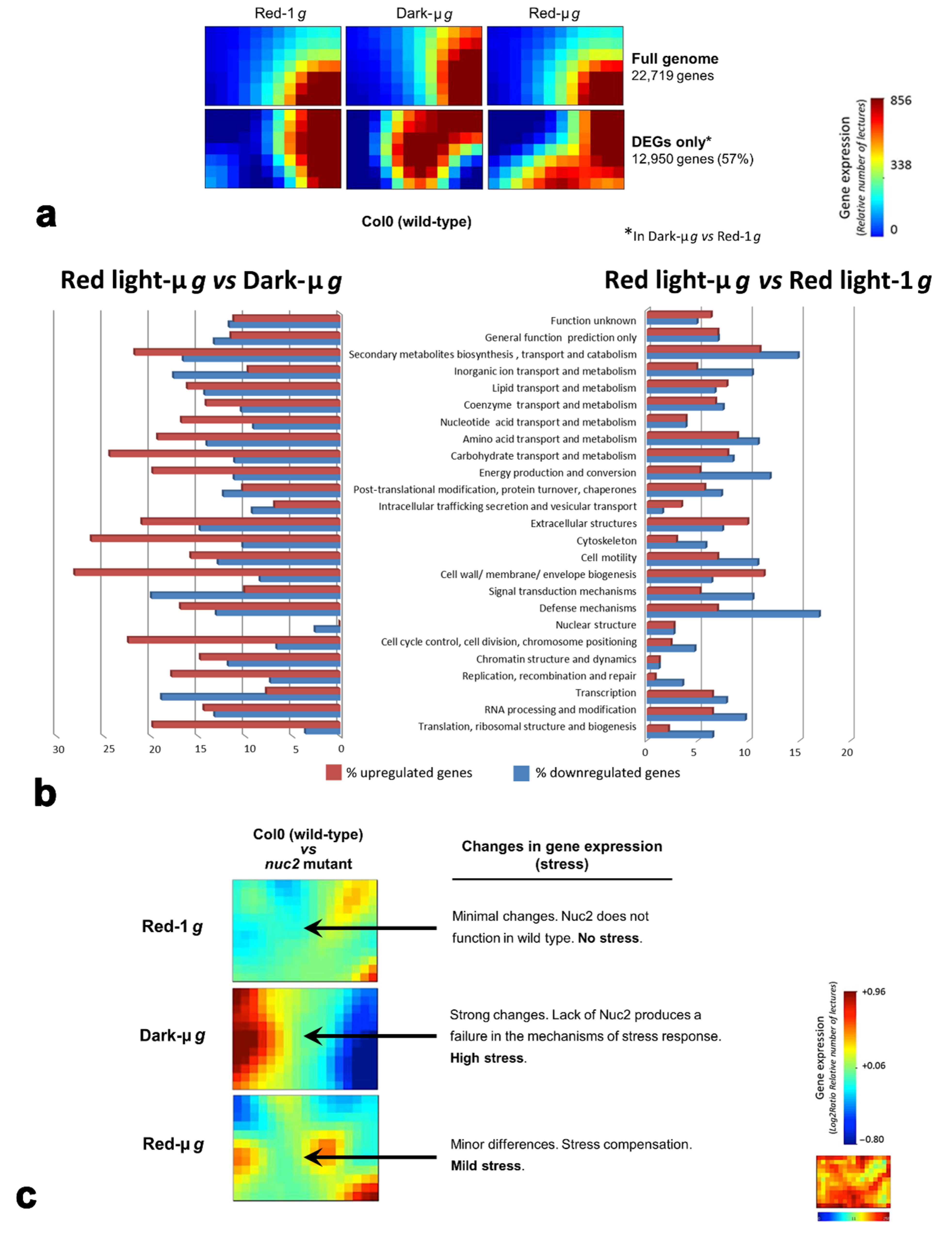 Life 12 01484 g002 Life 12 01484 g002