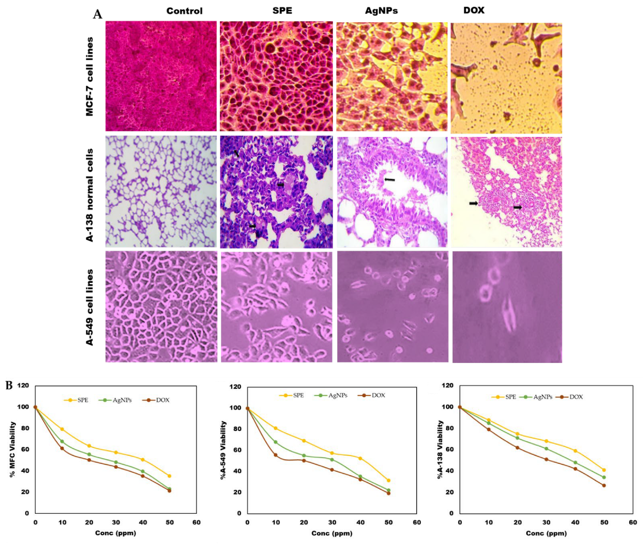 Life 12 01493 g003 550