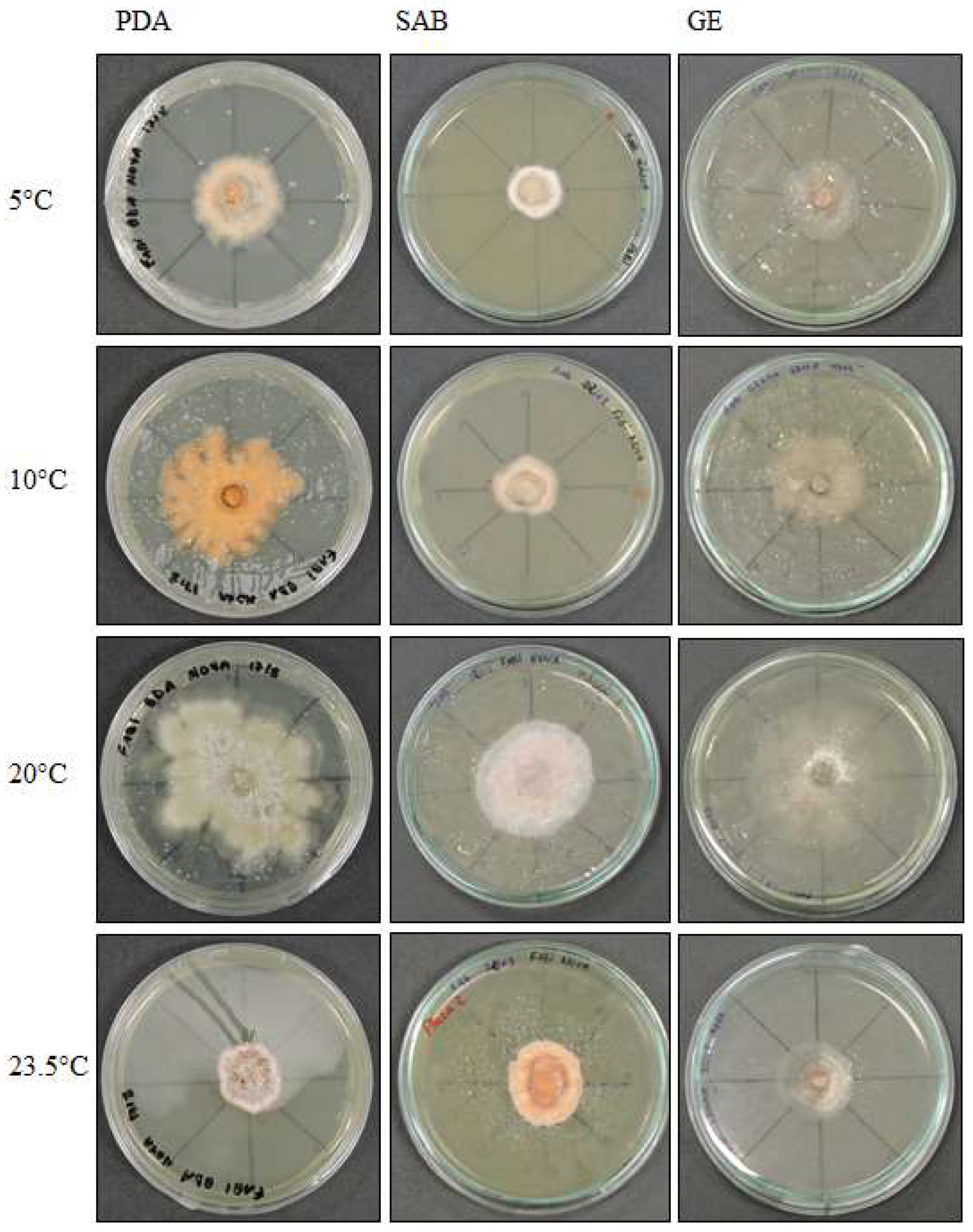 Life 12 01501 g001 Life 12 01501 g001