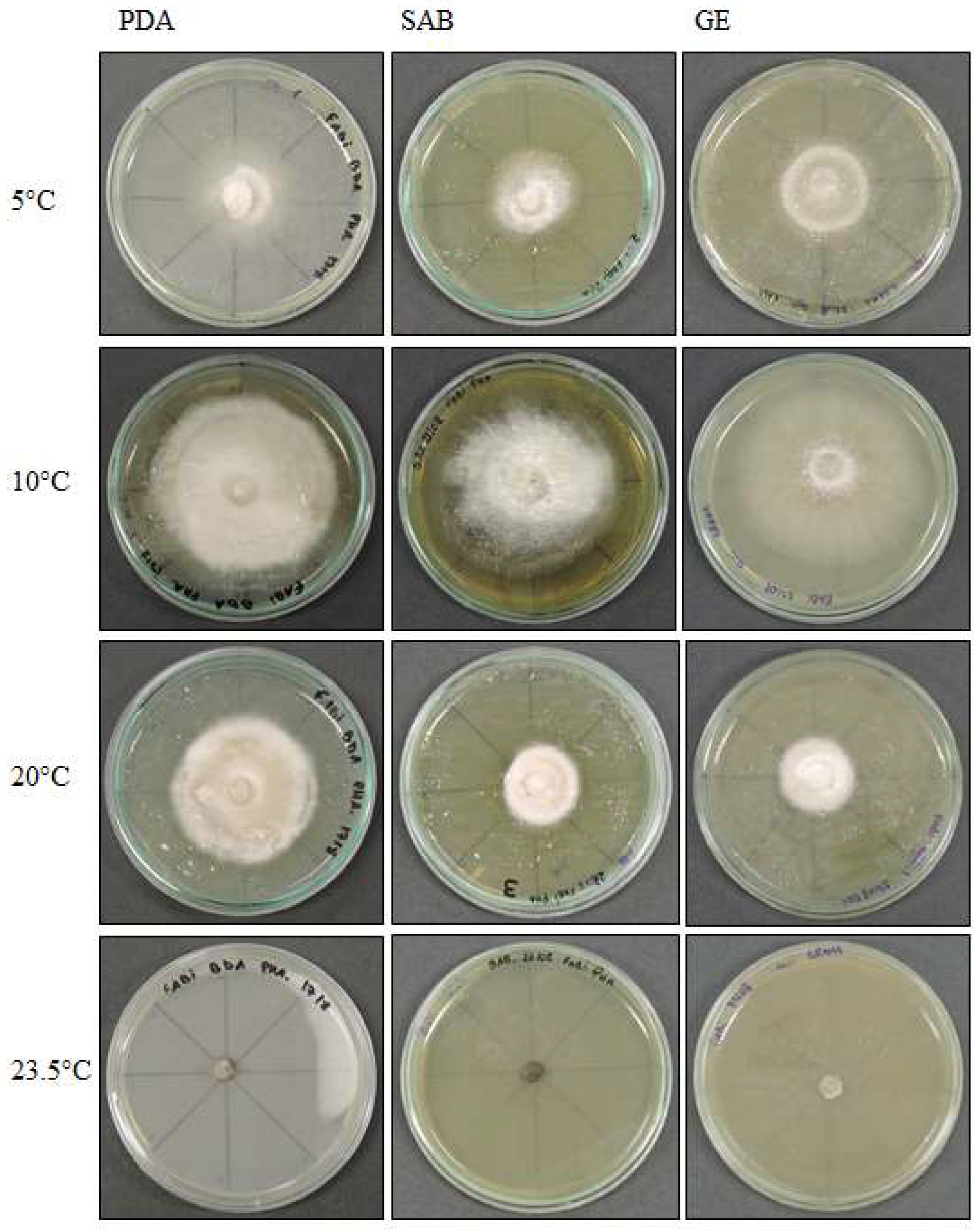 Life 12 01501 g003 Life 12 01501 g003