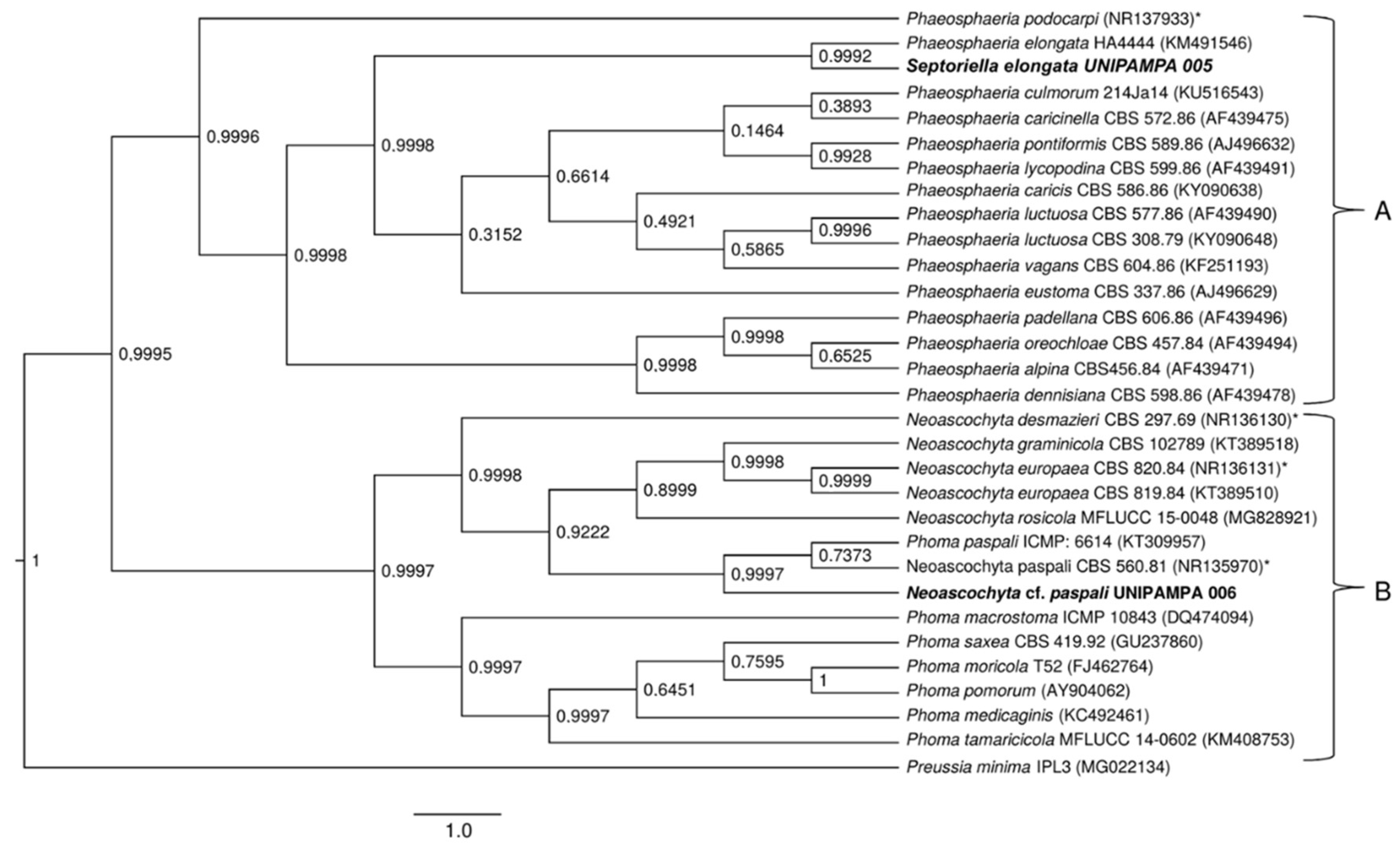 Life 12 01501 g008 Life 12 01501 g008