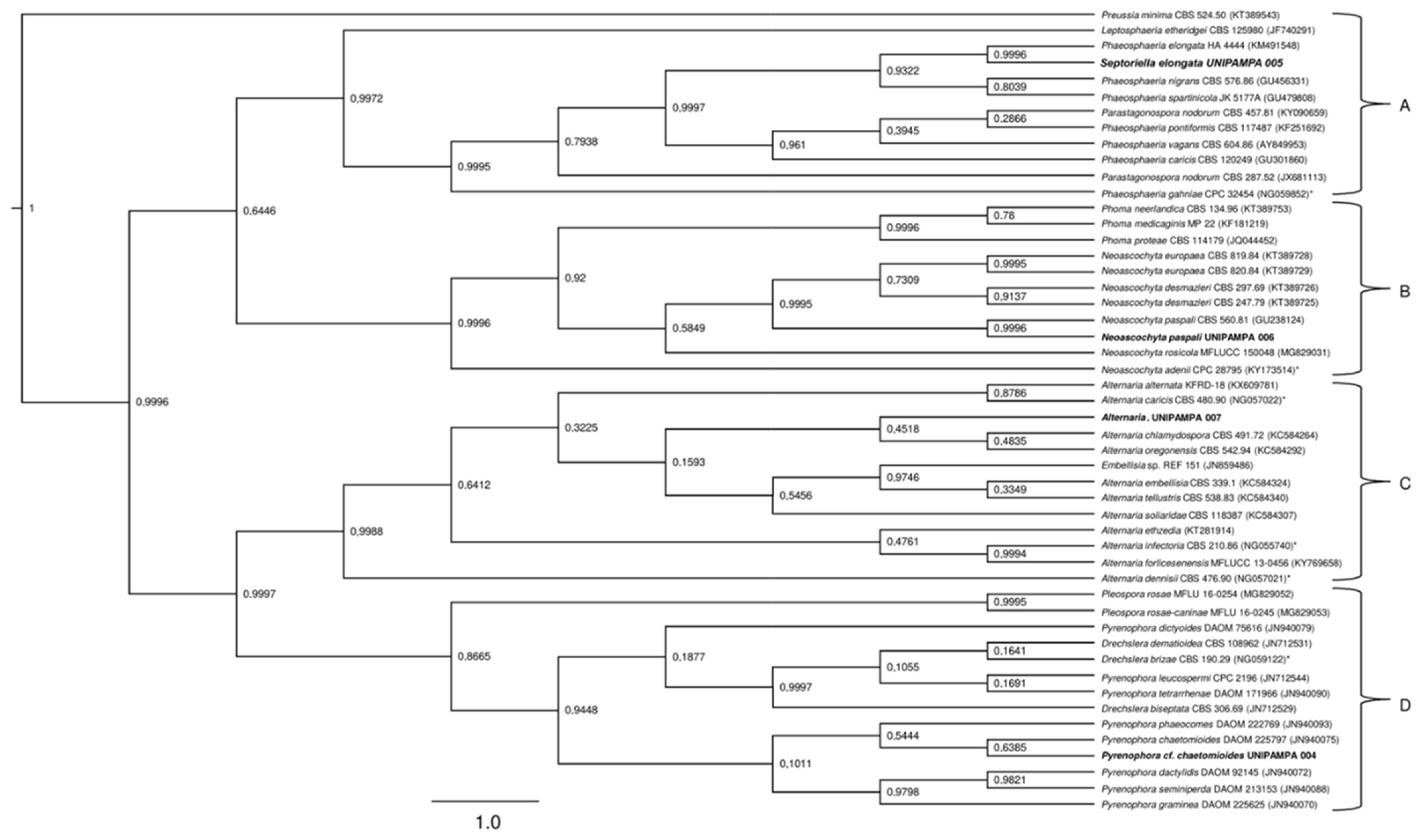 Life 12 01501 g009 Life 12 01501 g009