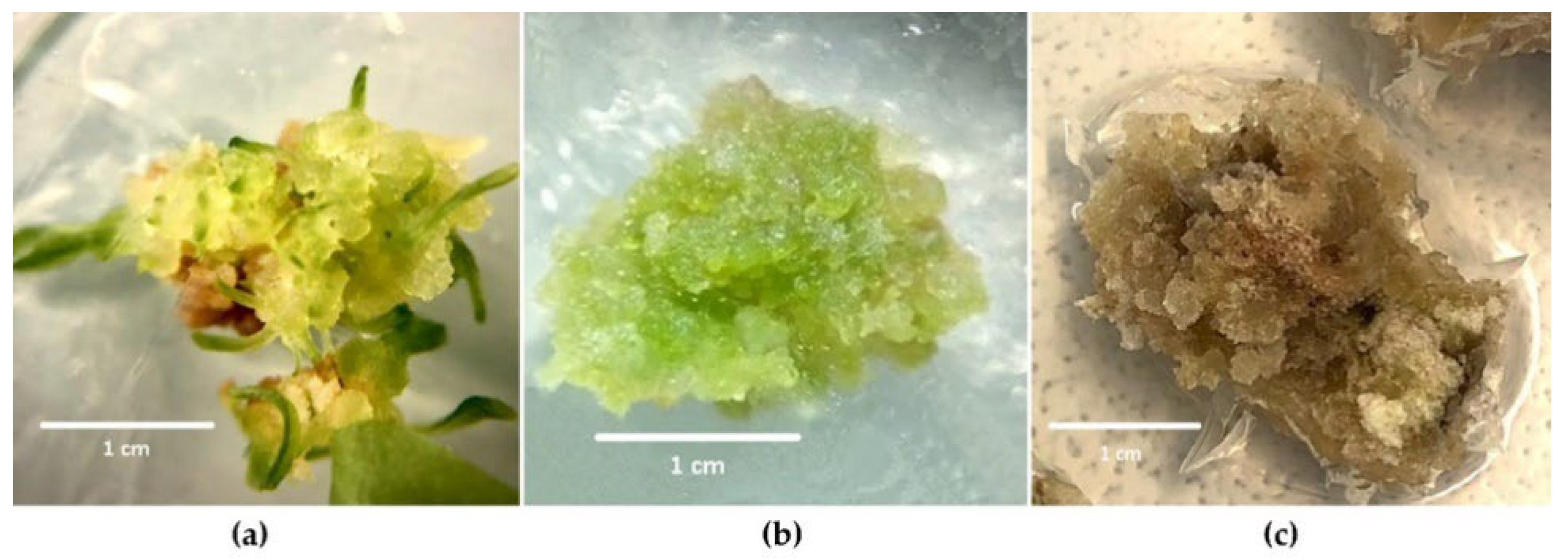 Life 12 01524 g001 550