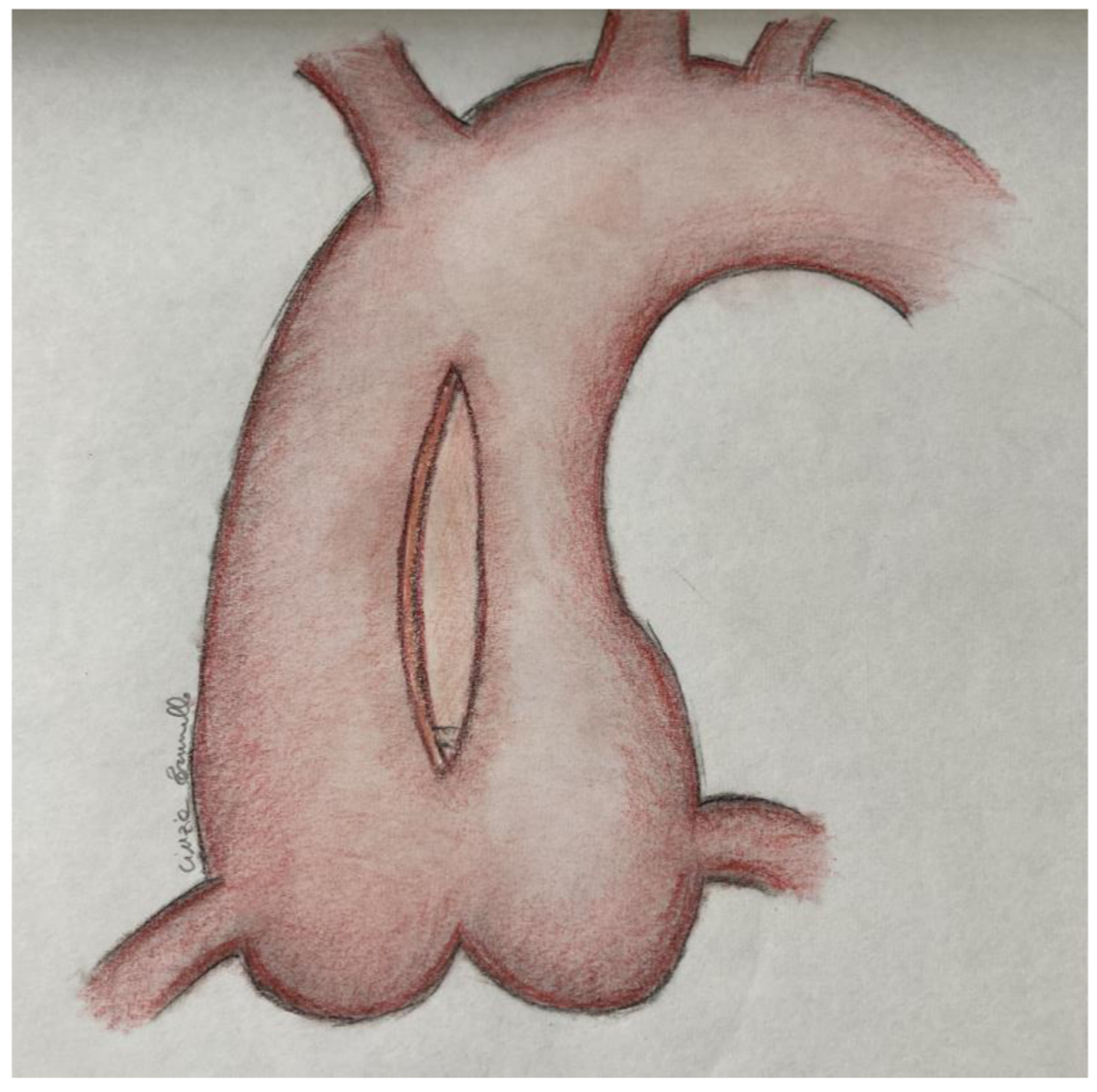 Life 12 01526 g001 Life 12 01526 g001