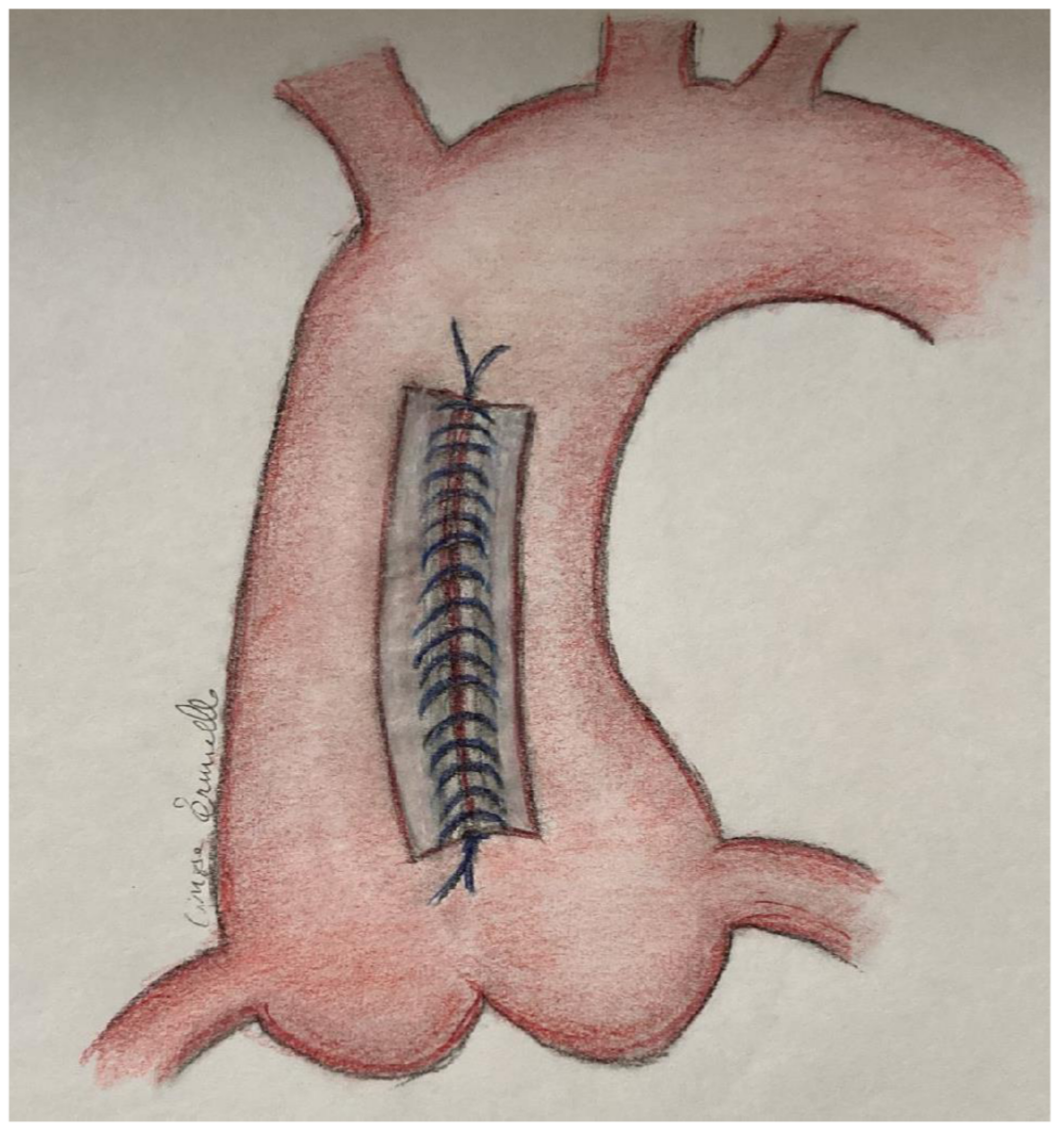 Life 12 01526 g002 Life 12 01526 g002