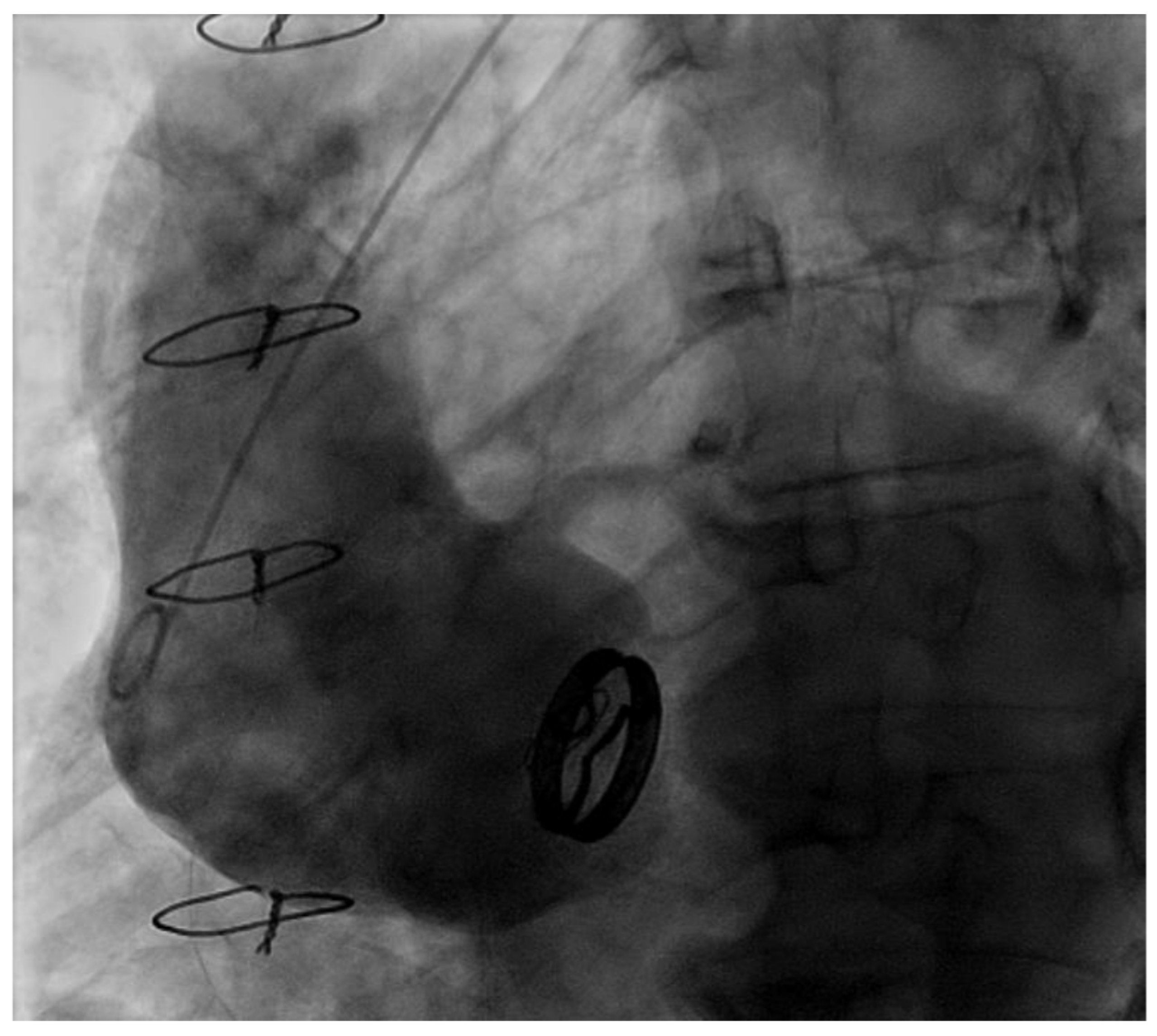 Life 12 01526 g007 Life 12 01526 g007