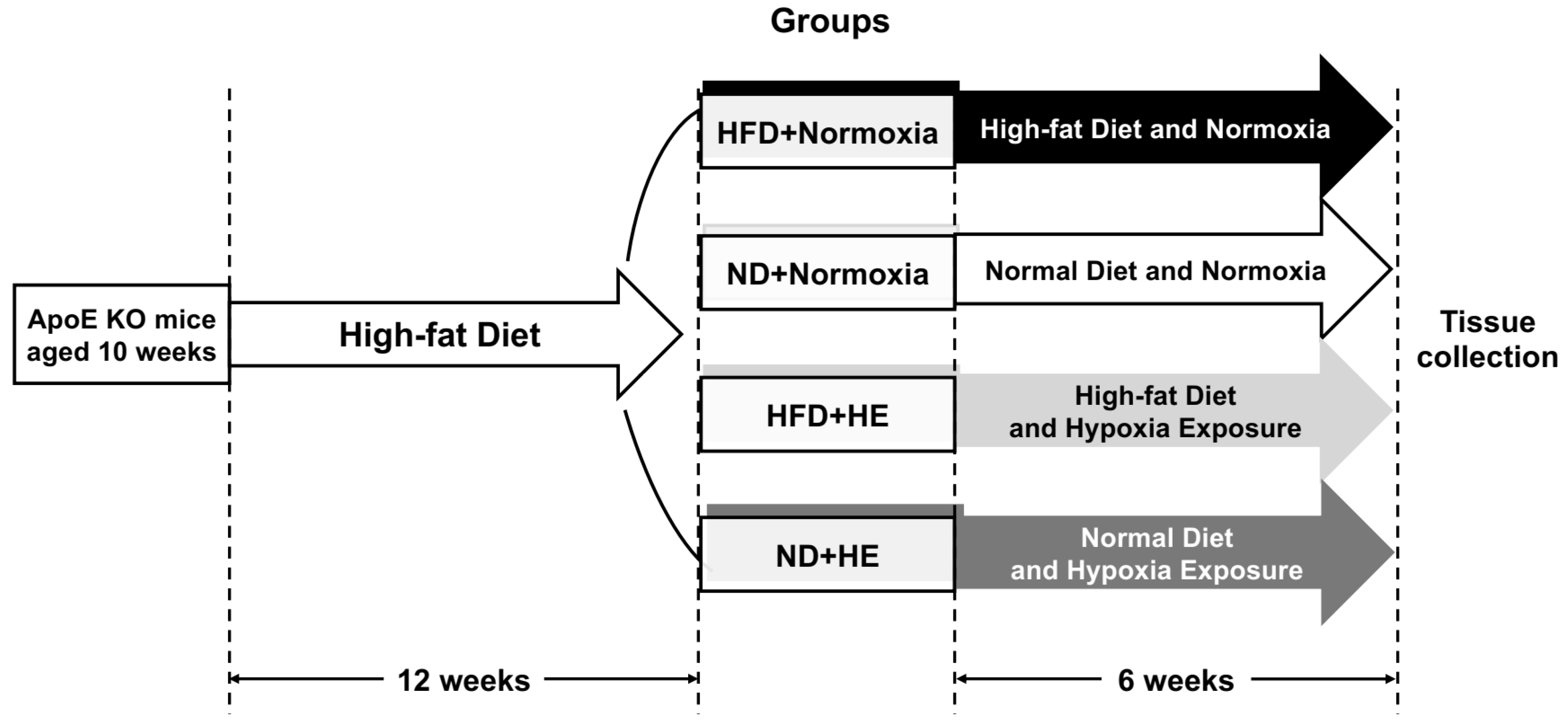 Life 12 01535 g001 Life 12 01535 g001