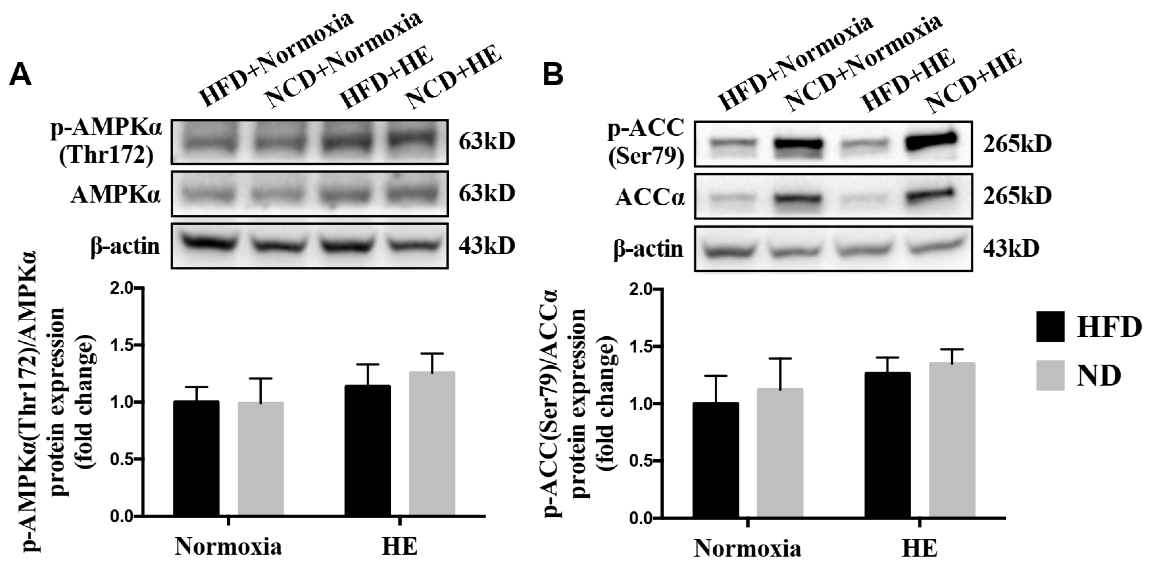 Life 12 01535 g006 Life 12 01535 g006