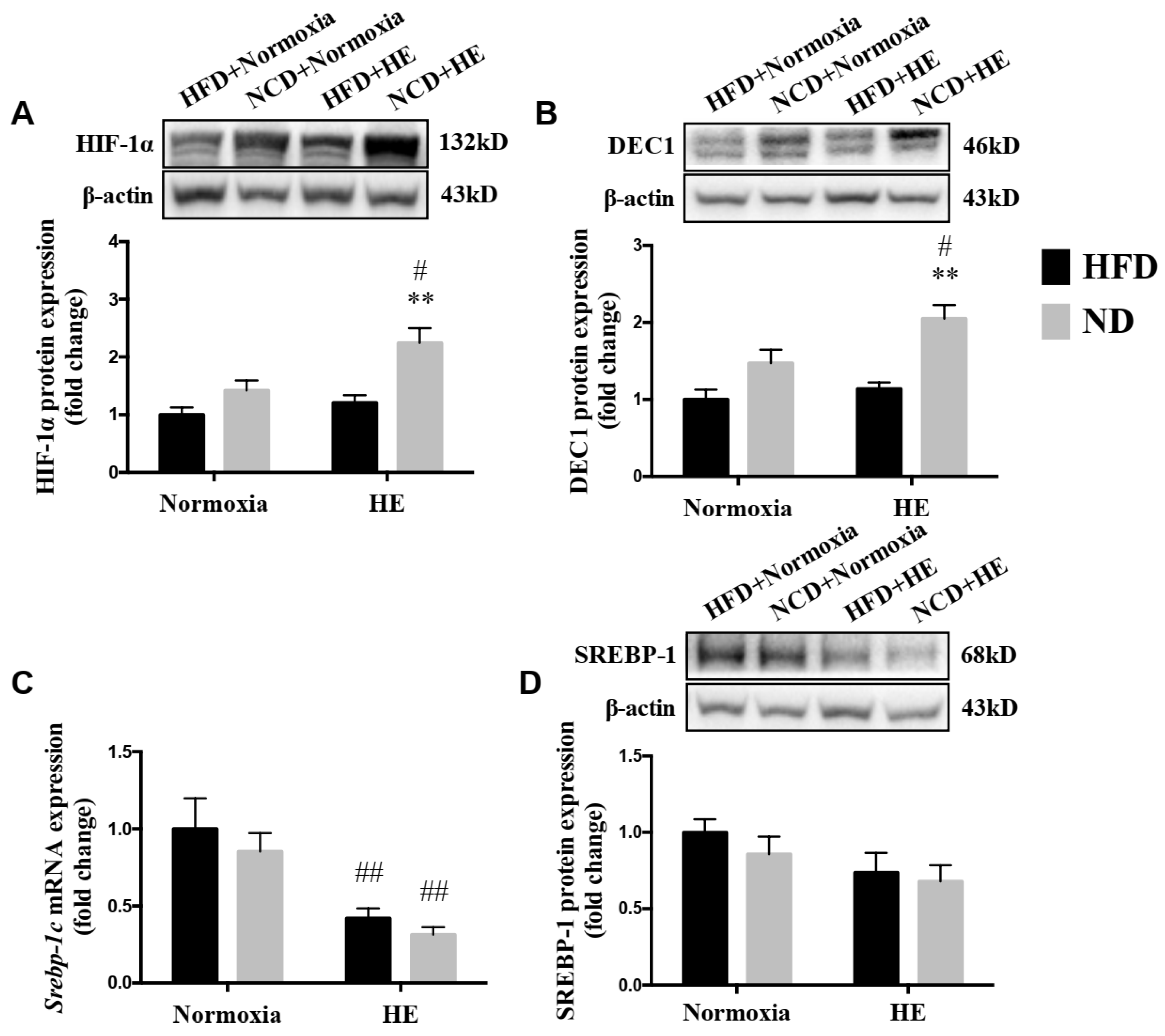 Life 12 01535 g007 Life 12 01535 g007