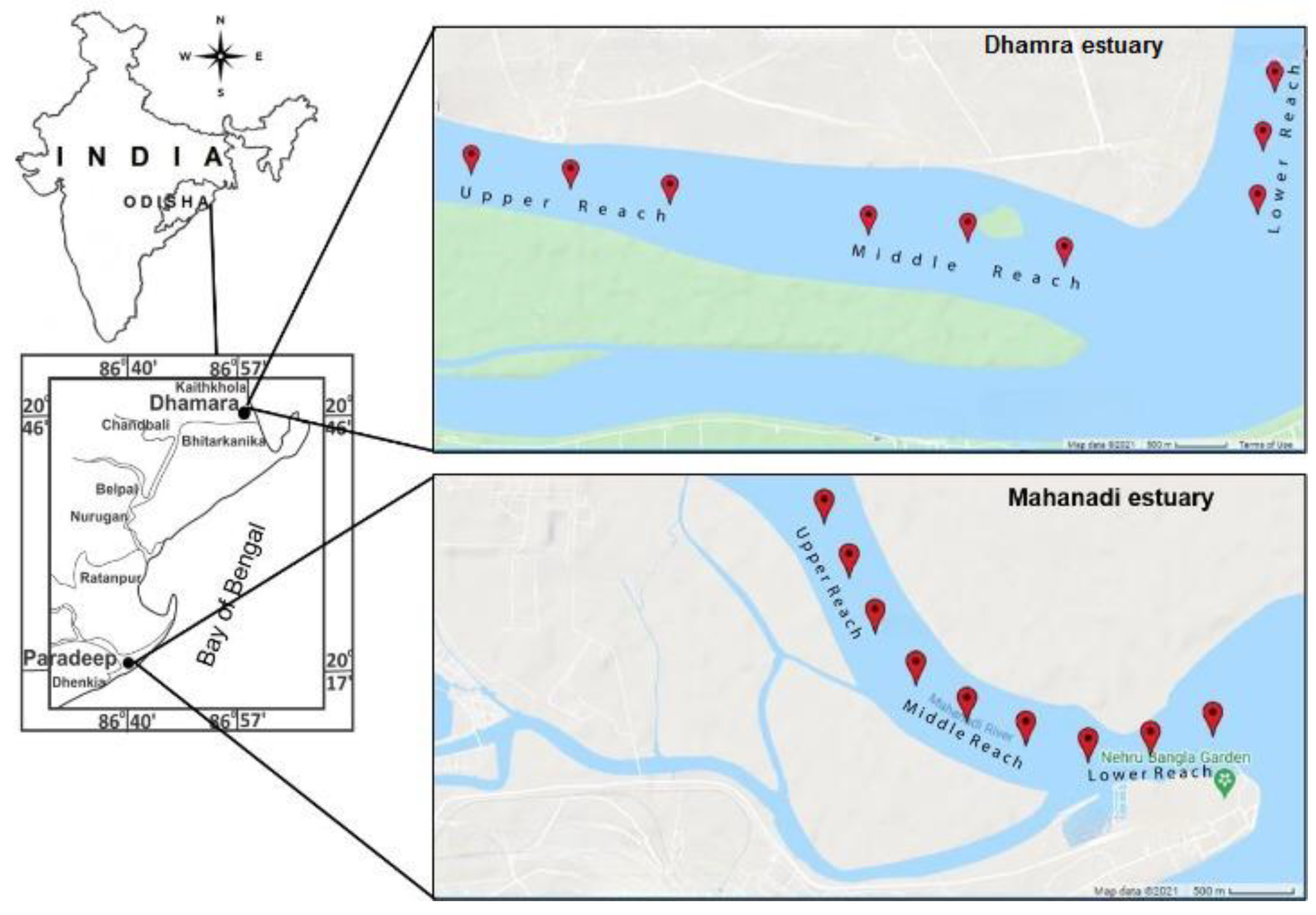 Life 12 01536 g001 Life 12 01536 g001