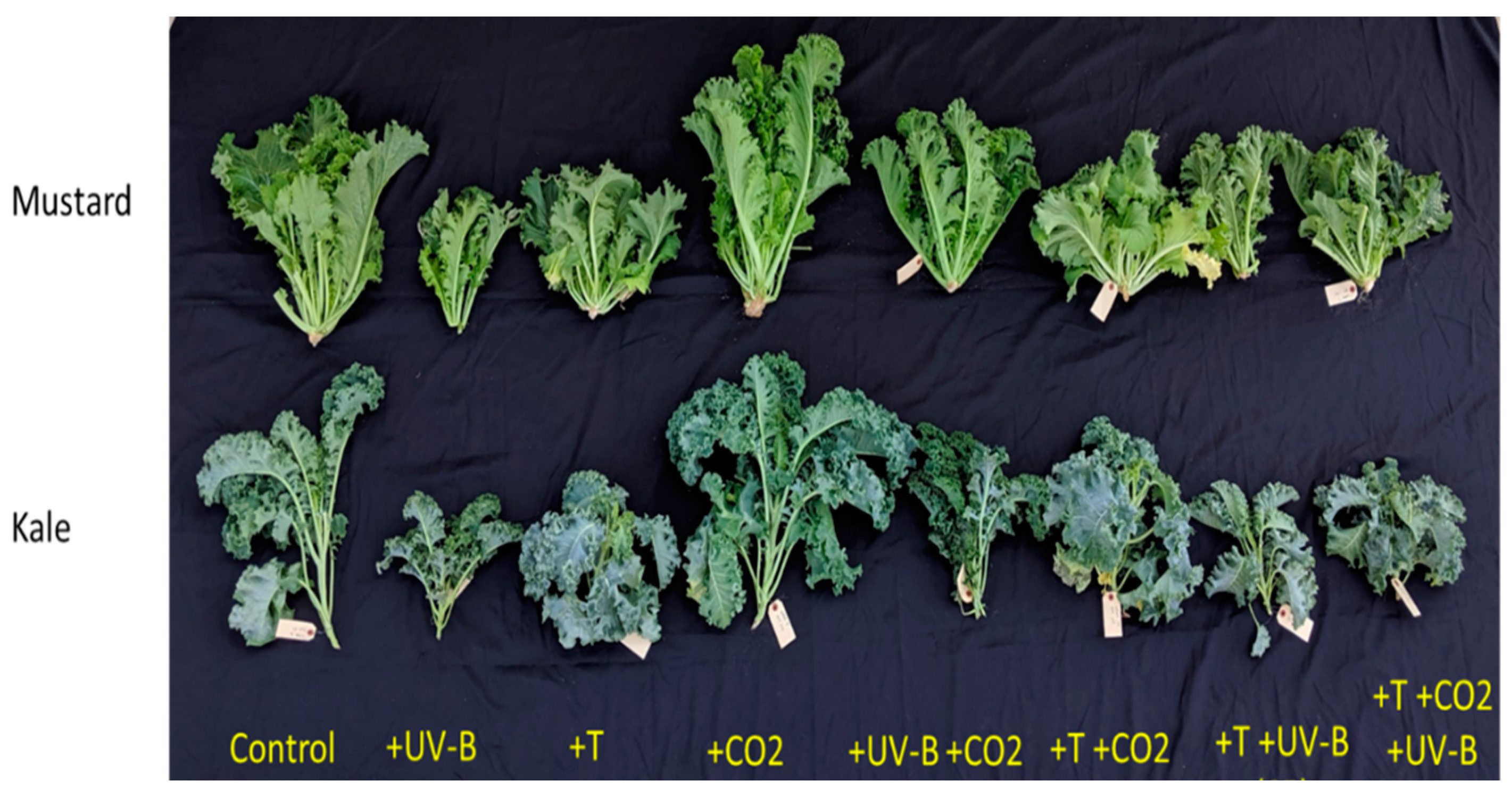 Life 12 01546 g001 Life 12 01546 g001