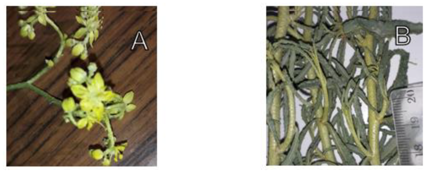 Life 12 01553 g001 Life 12 01553 g001