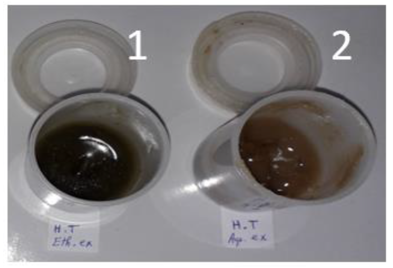 Life 12 01553 g002 Life 12 01553 g002